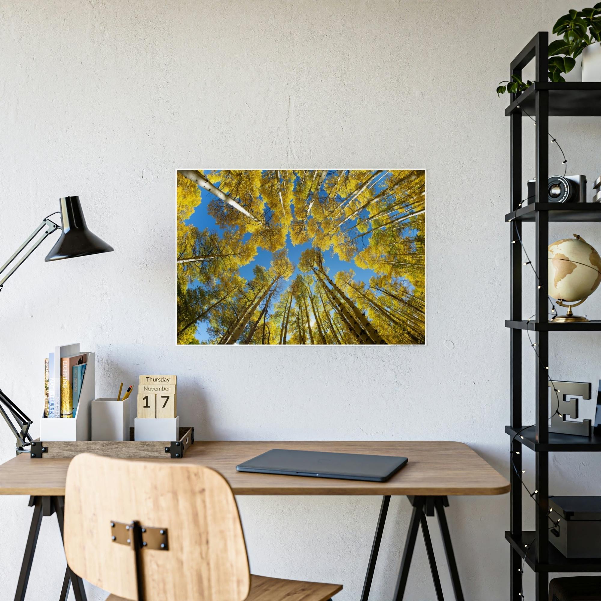 Birch Trees The Beauty of Nature: Rustic Framed Canvas Print of a Birch Tree Grove