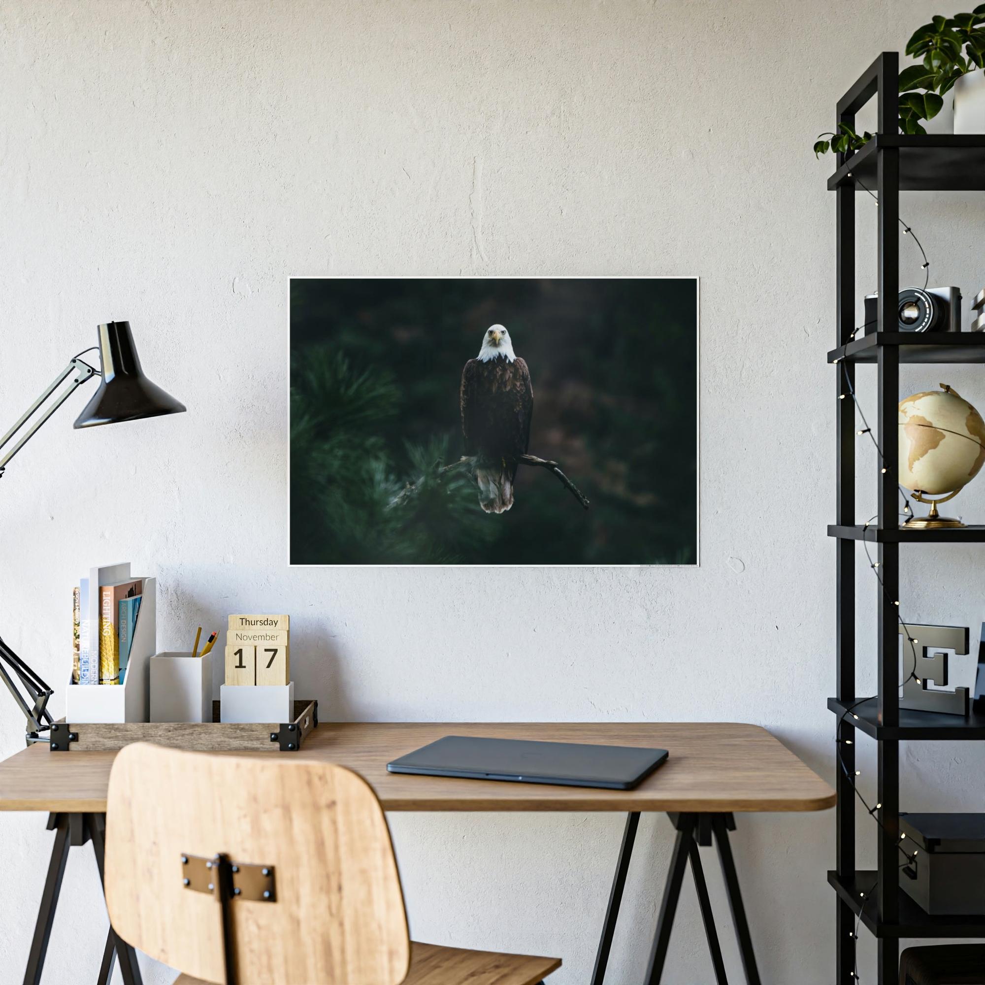 Eagles Eagle's Serenity: Canvas Print, Capturing their Tranquil and Regal Aura