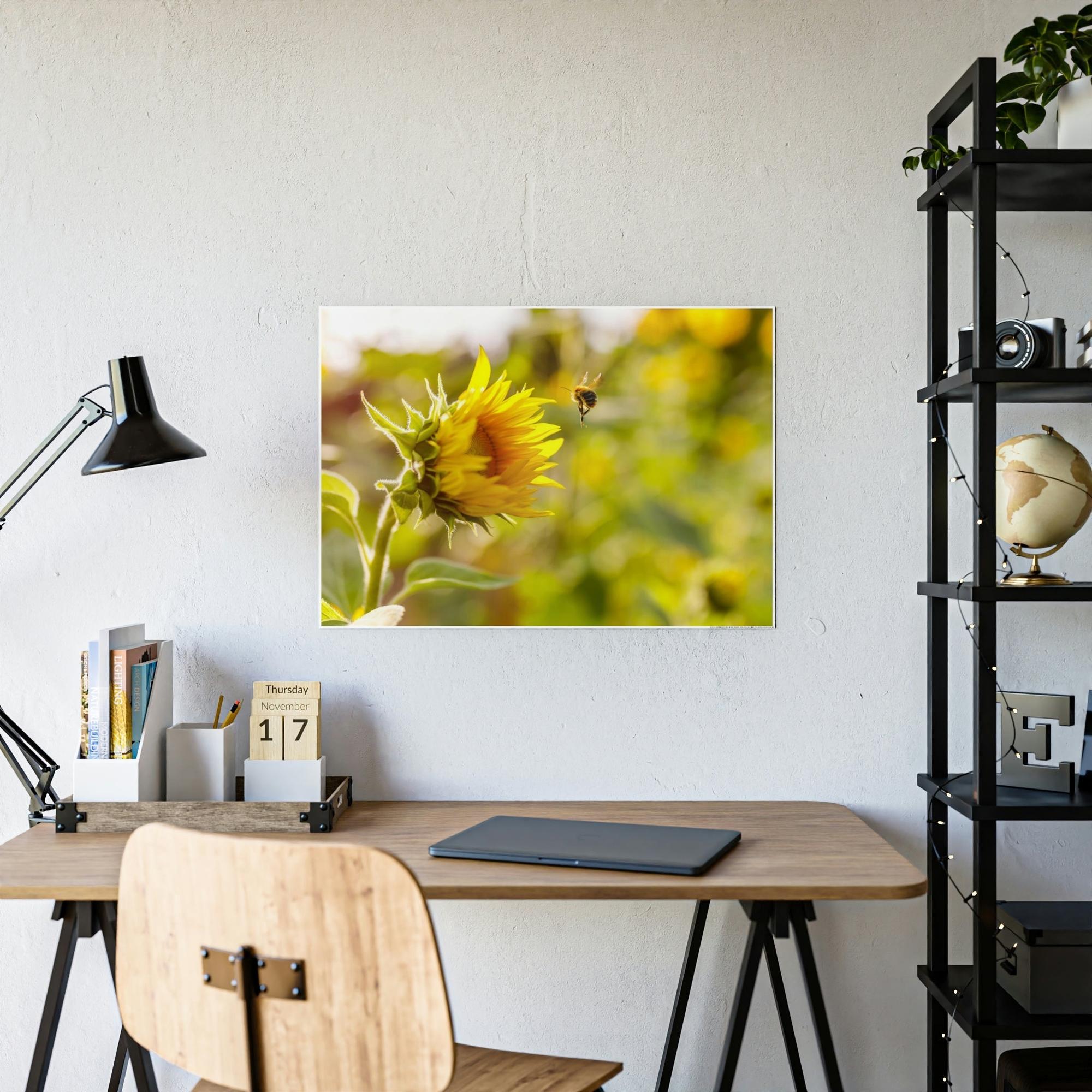 Sunflowers Blooming Sunshine: A Breathtaking and Inspiring Vision of Nature's Delight