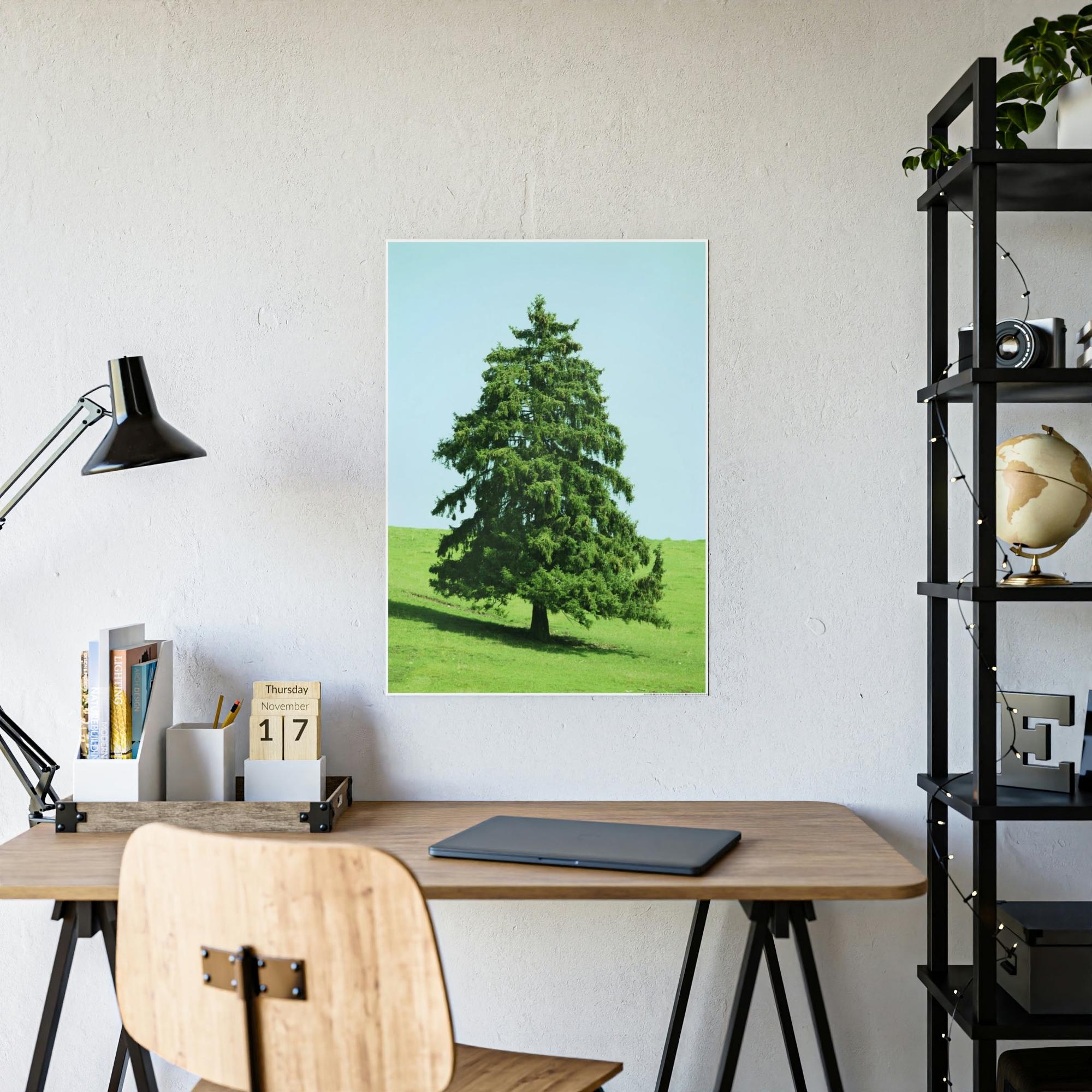 Cypress Tree A Cypress Oasis of Beauty and Tranquility: A Haven of Serenity and Peace
