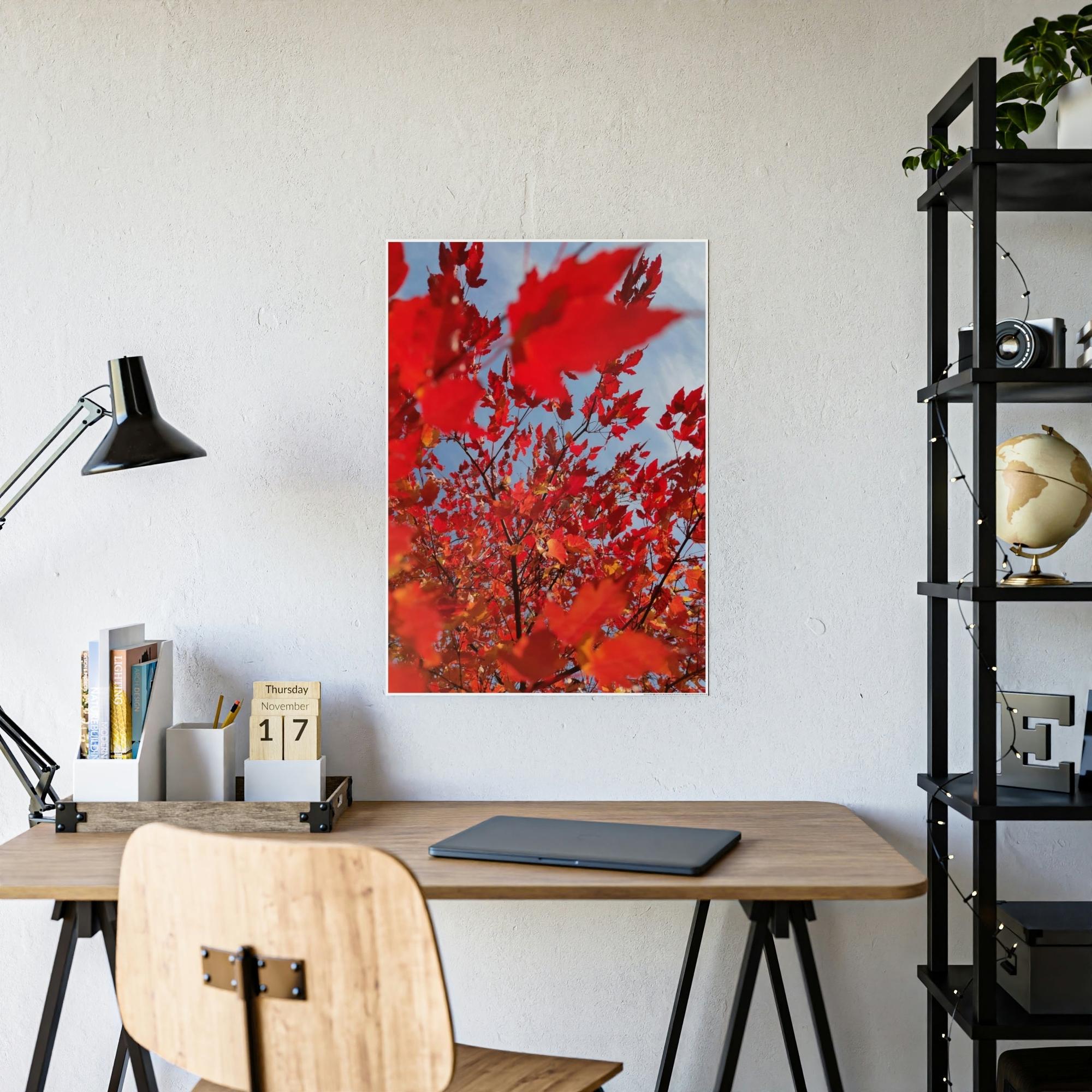 Maple Trees Autumn's Glow: Maple Trees in Bloom