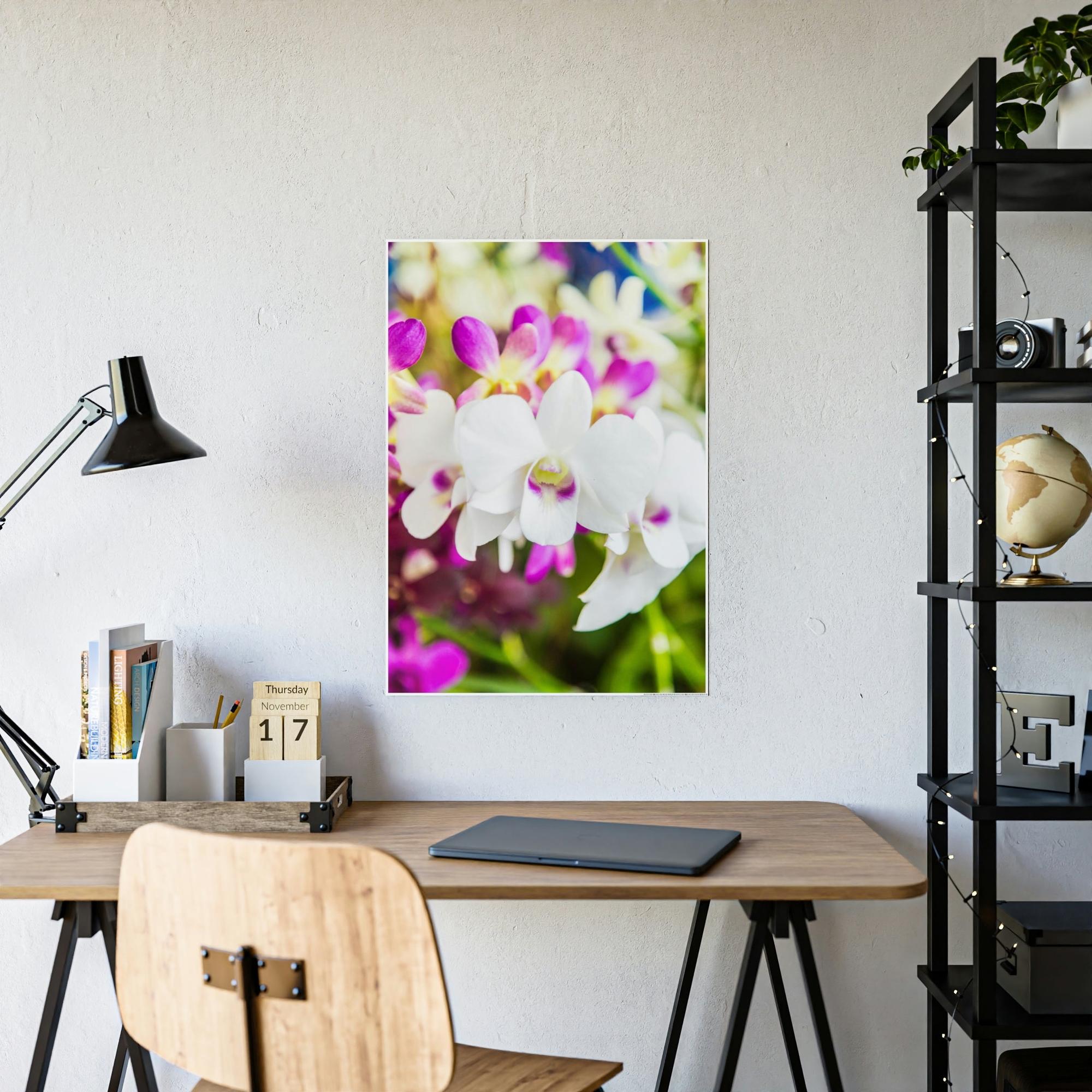 Orchids Orchid Garden: A Colorful Canvas Escape