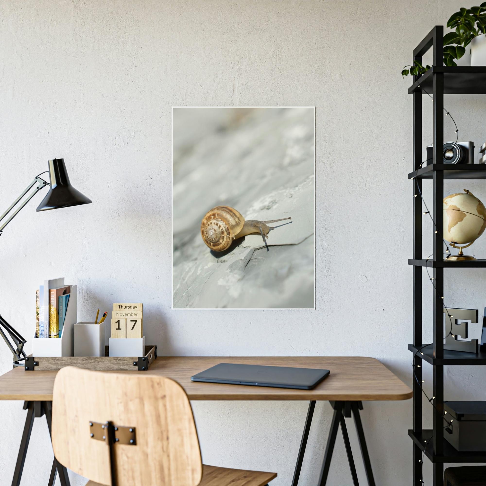 Snails A Snail's World: Life in Slow Motion
