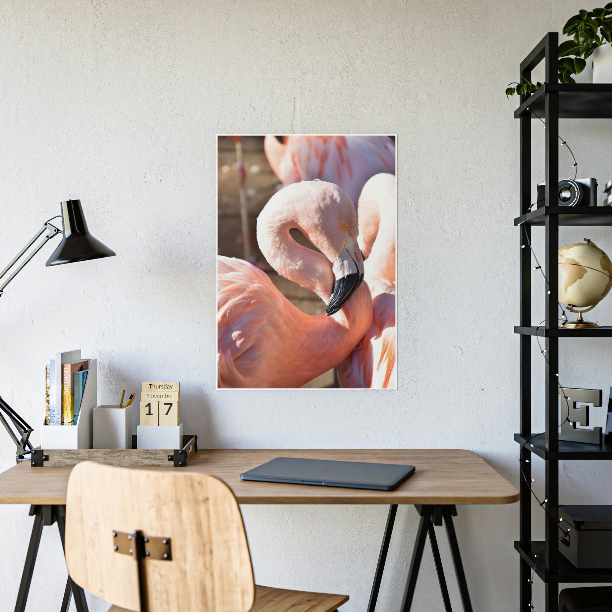 Flamingos Flamingo Reflections: A Canvas of Stillness and Serenity