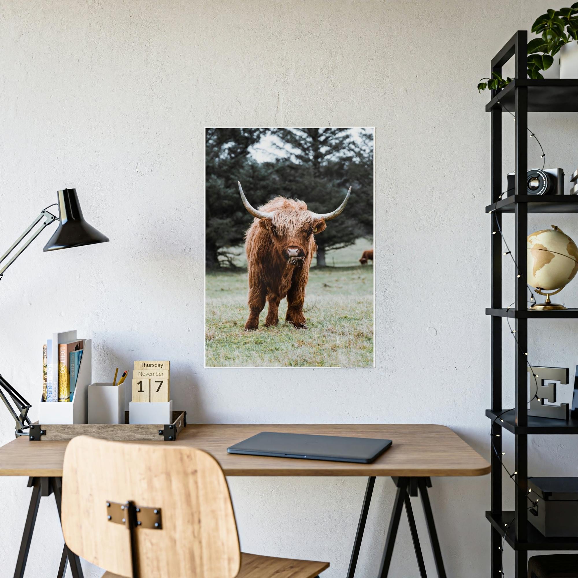 Highland Cow Scottish Cattle Breeds - Wall Art  | Animals Art