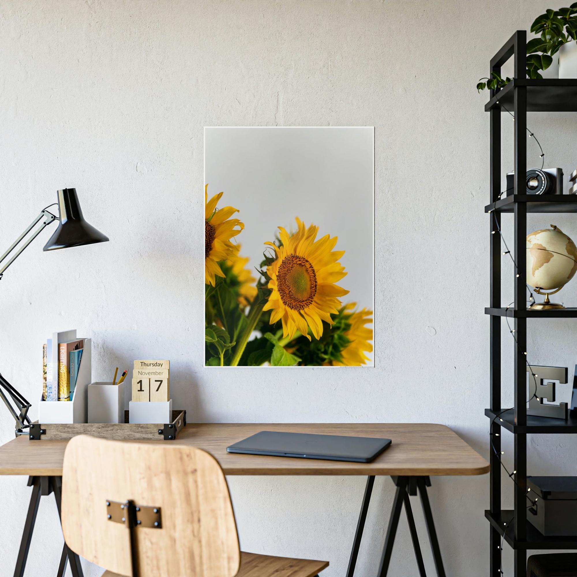 Sunflowers Sunny Delight: A Blissful and Cheerful Glimpse into the Beauty of Sunflowers