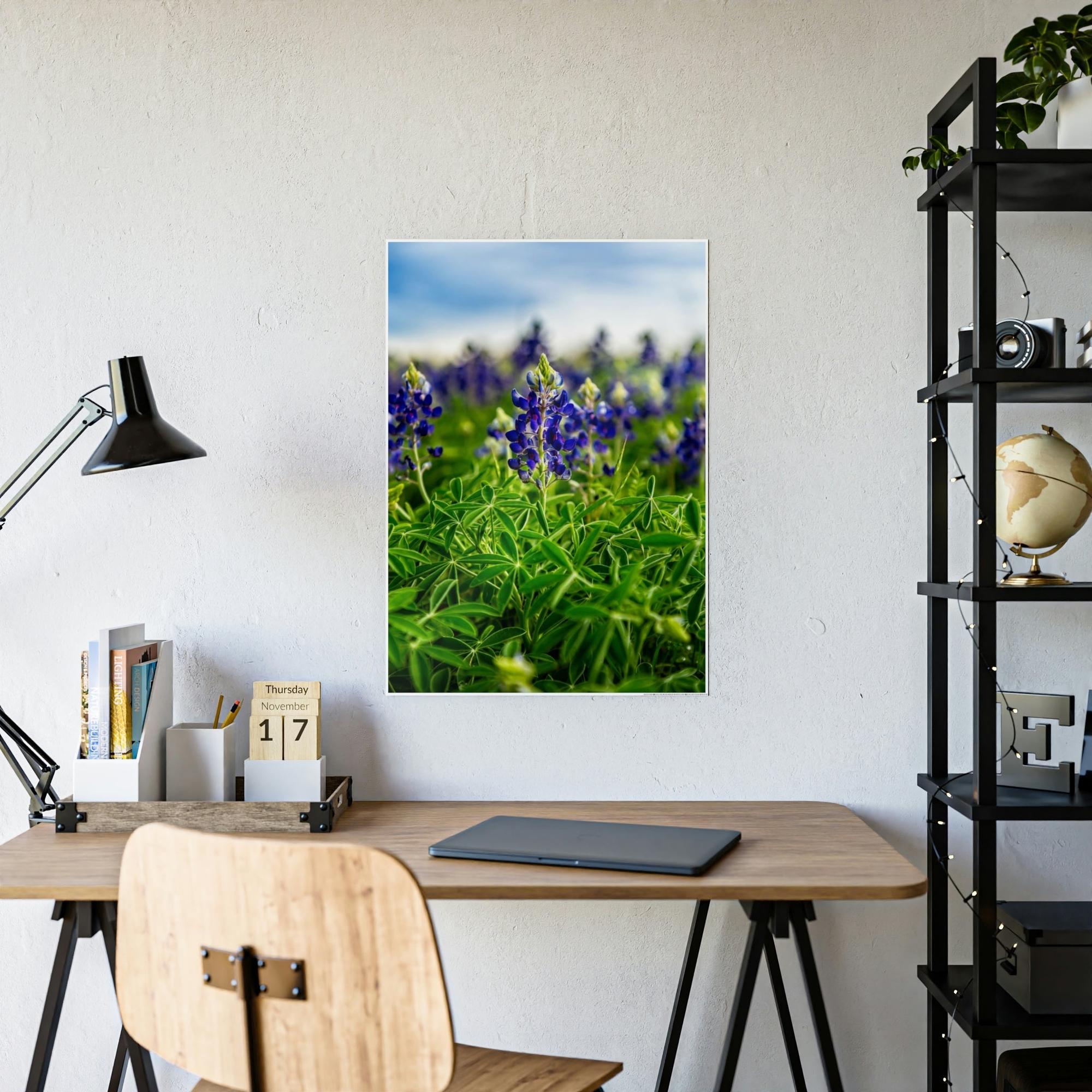 Bluebonnets Fields of Blue: Wall Art and Print on Canvas Showcasing Stunning Bluebonnets