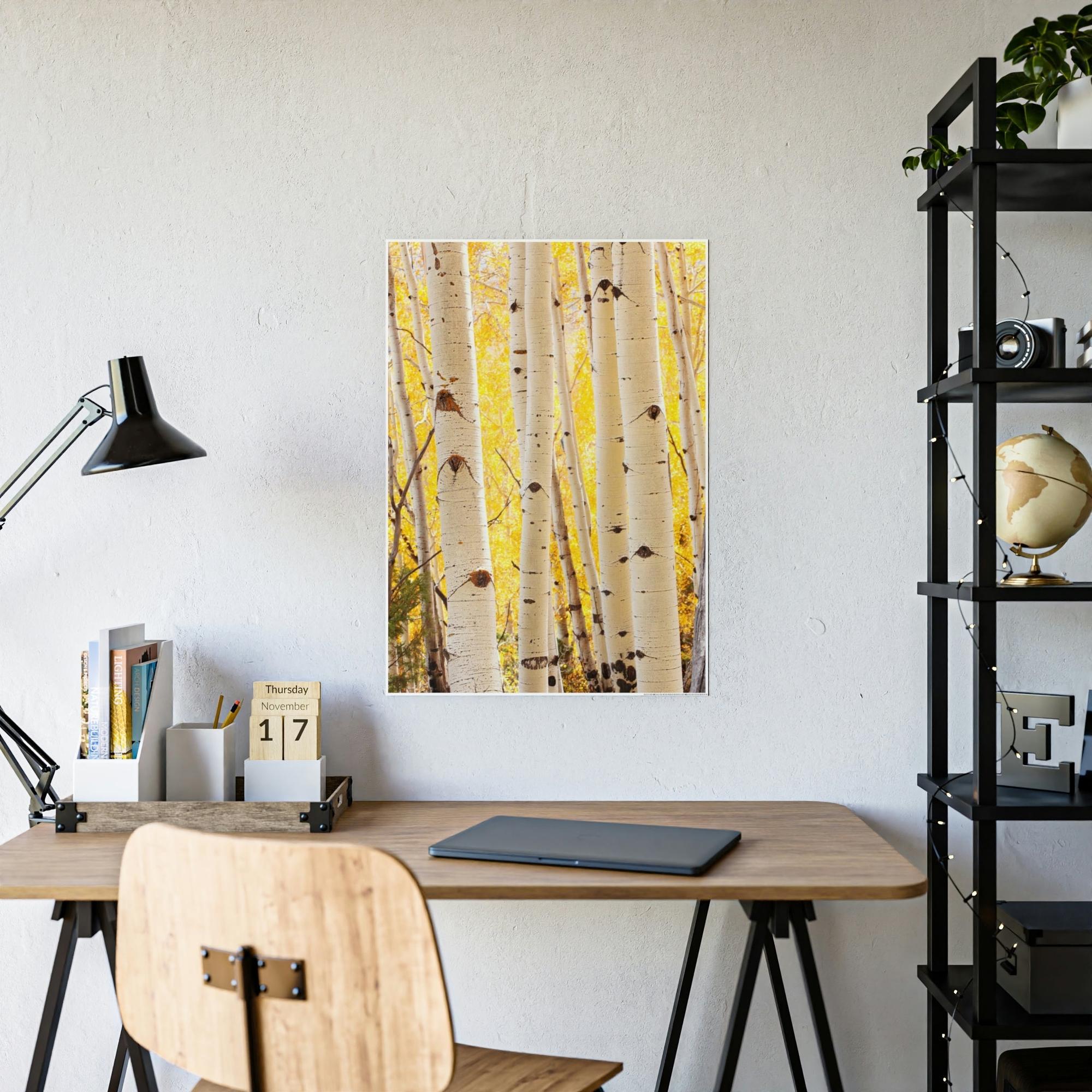 Birch Trees Birch Tree Calm: Colorful Print on Canvas of a Tranquil Forest