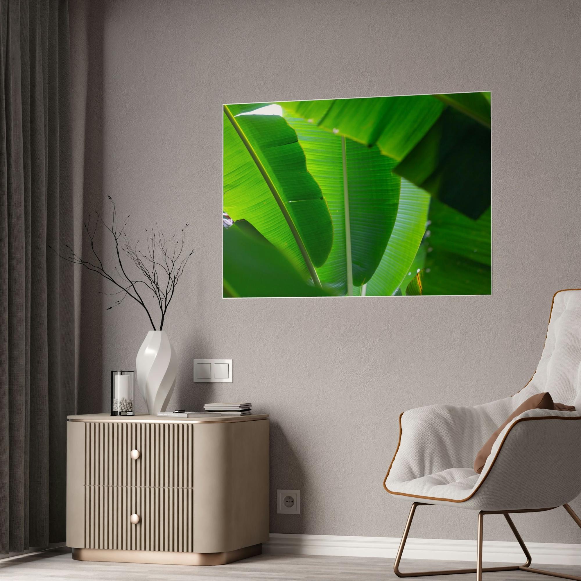 Banana Trees Exotic Foliage: Framed Poster of a Lush Banana Grove