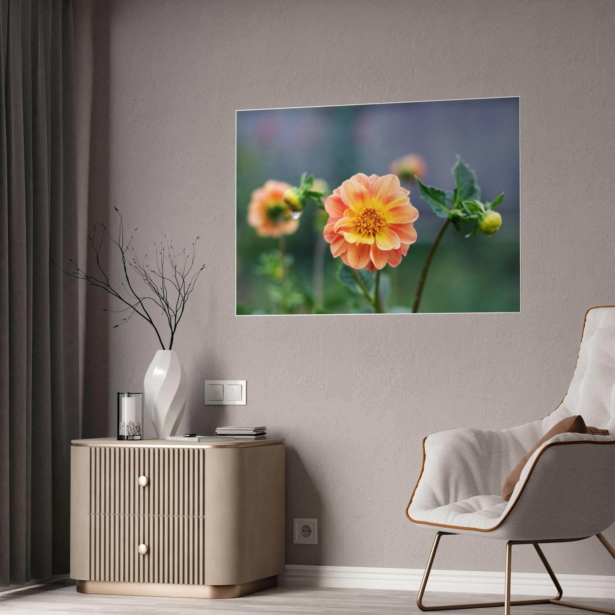 Dahlias The Joy of Dahlias: A Poster of These Bright and Beautiful Flowers
