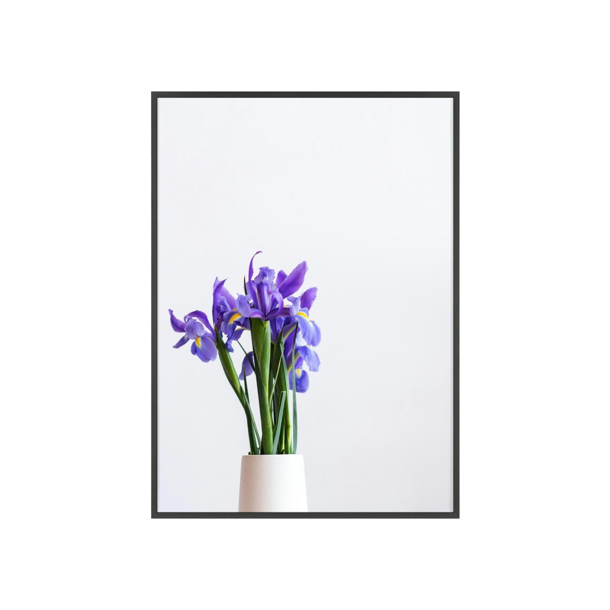 Irises Iris Oasis: A Canvas of Cool Breezes and Serenity