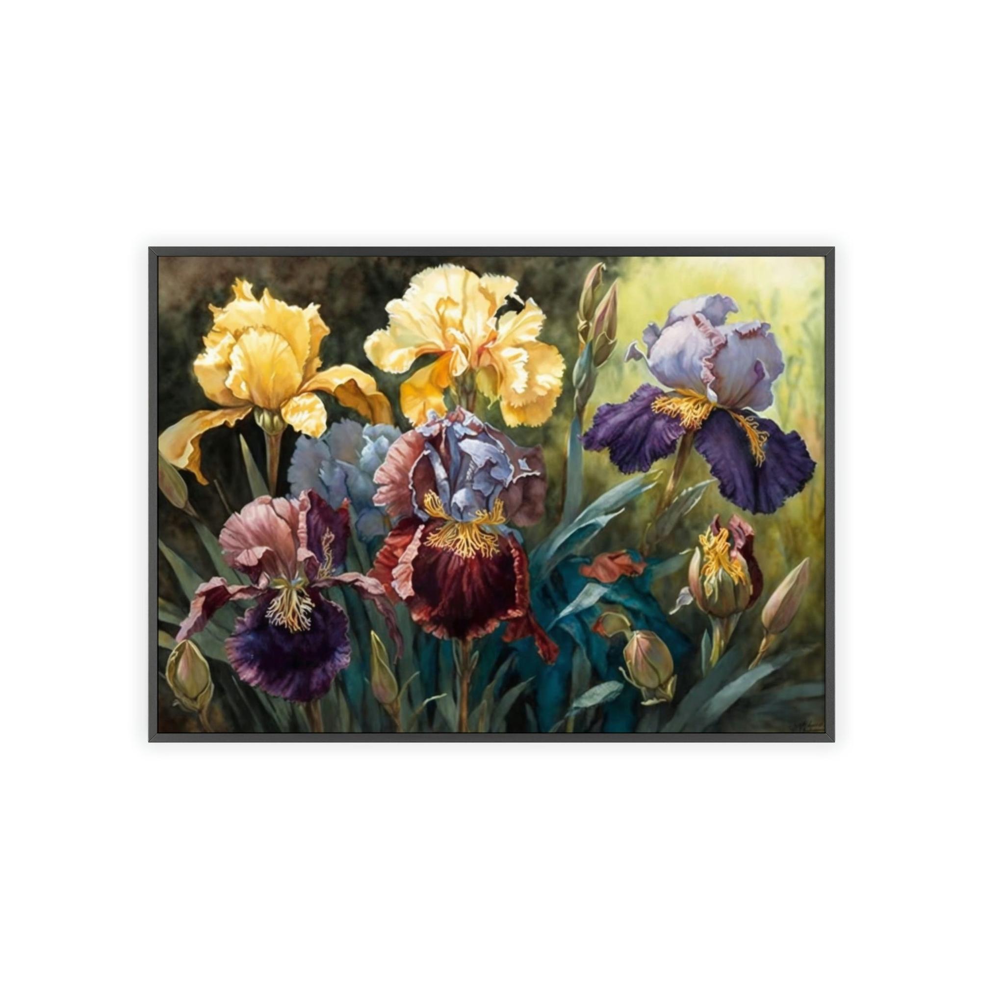 Irises Iris Dance: A Canvas of Petals in Motion