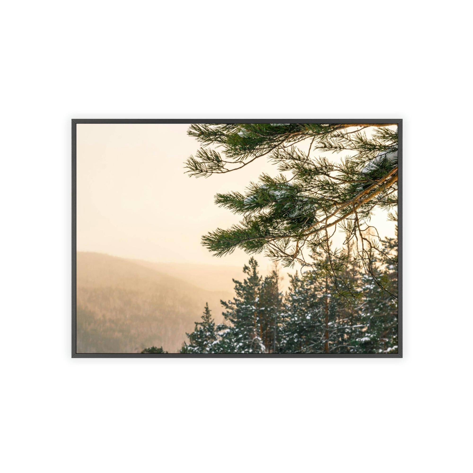 undefined Nature's Pillars: A Canvas of Pine Trees