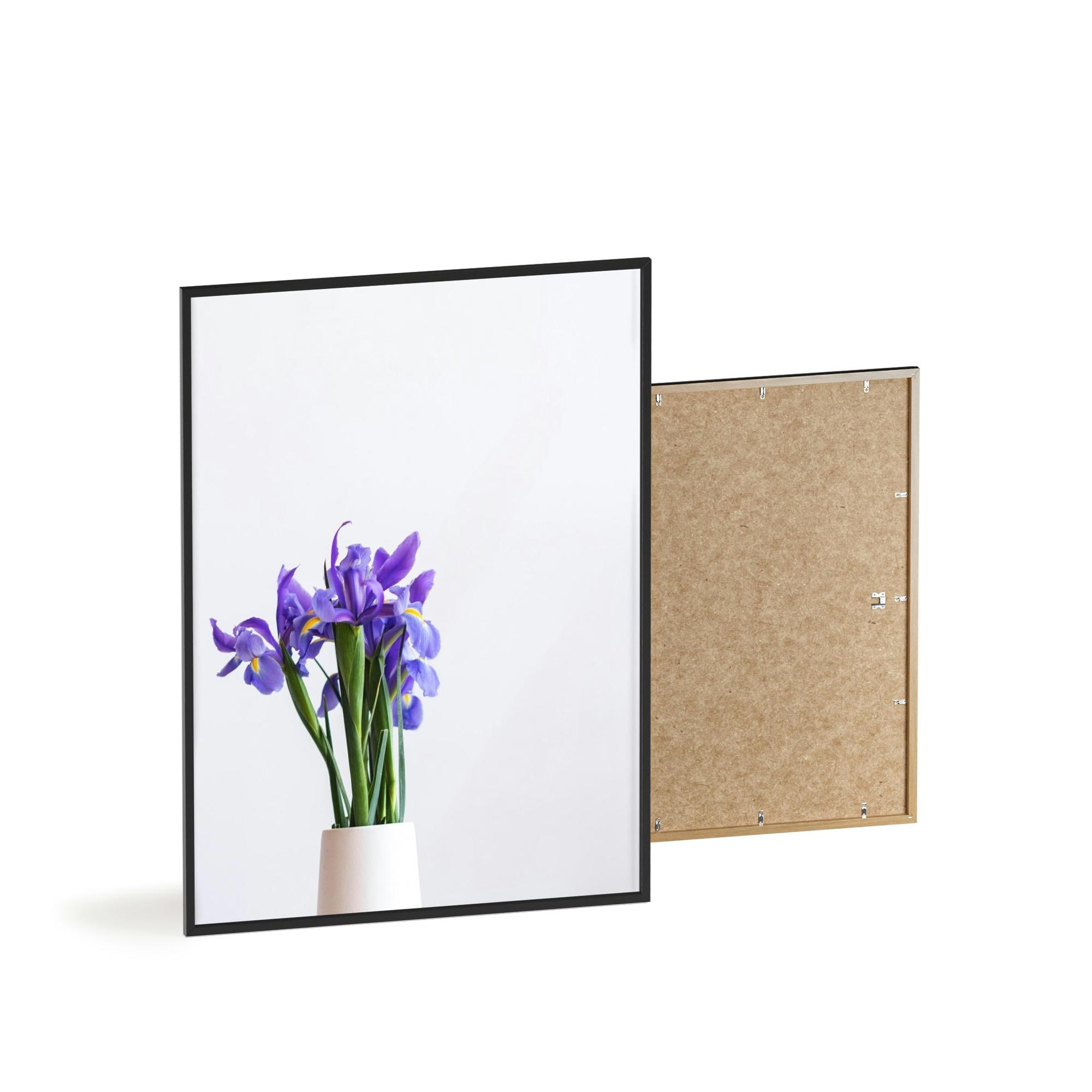 Irises Iris Oasis: A Canvas of Cool Breezes and Serenity
