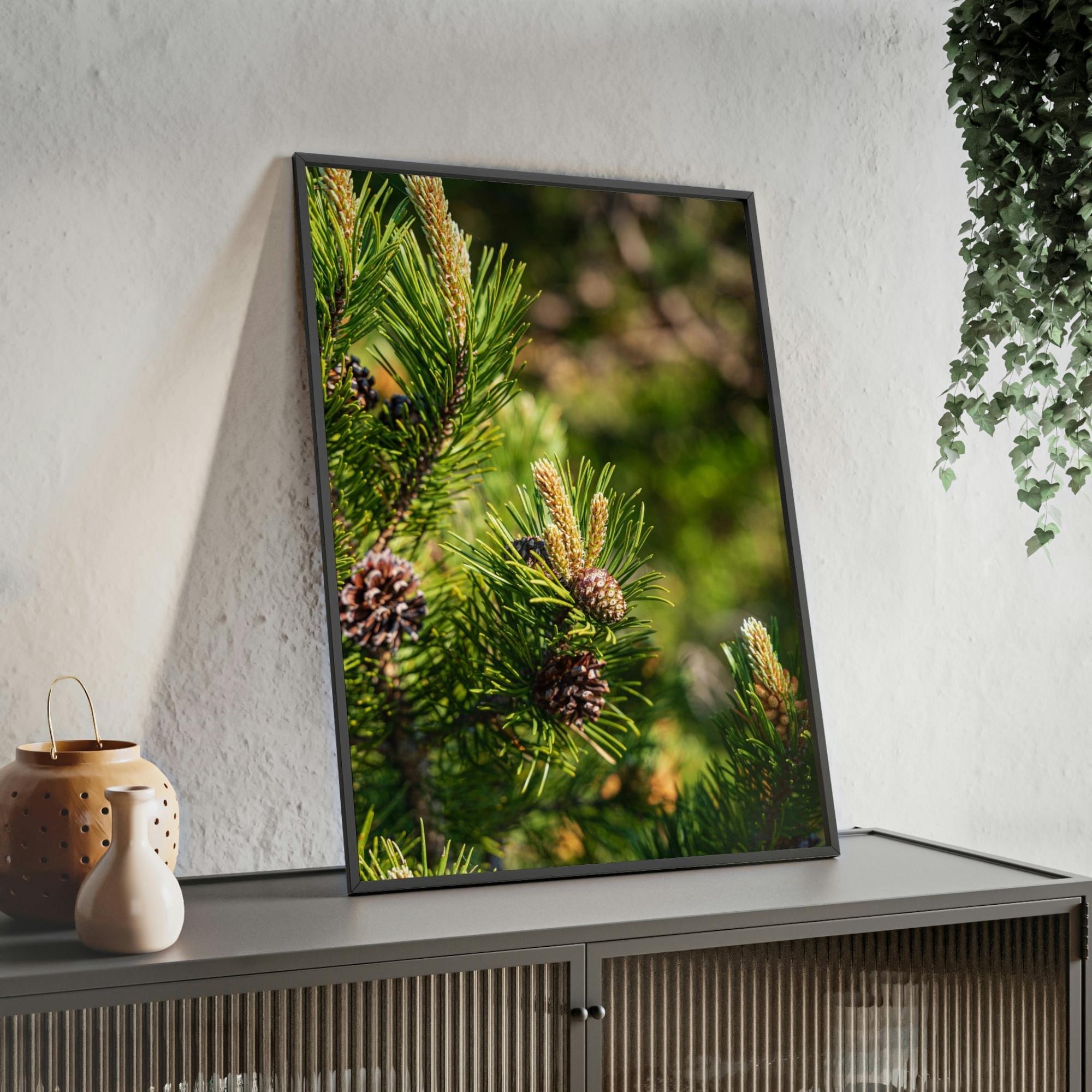 Pine Trees Whispering Pines: A Canvas of Tranquility and Serenity
