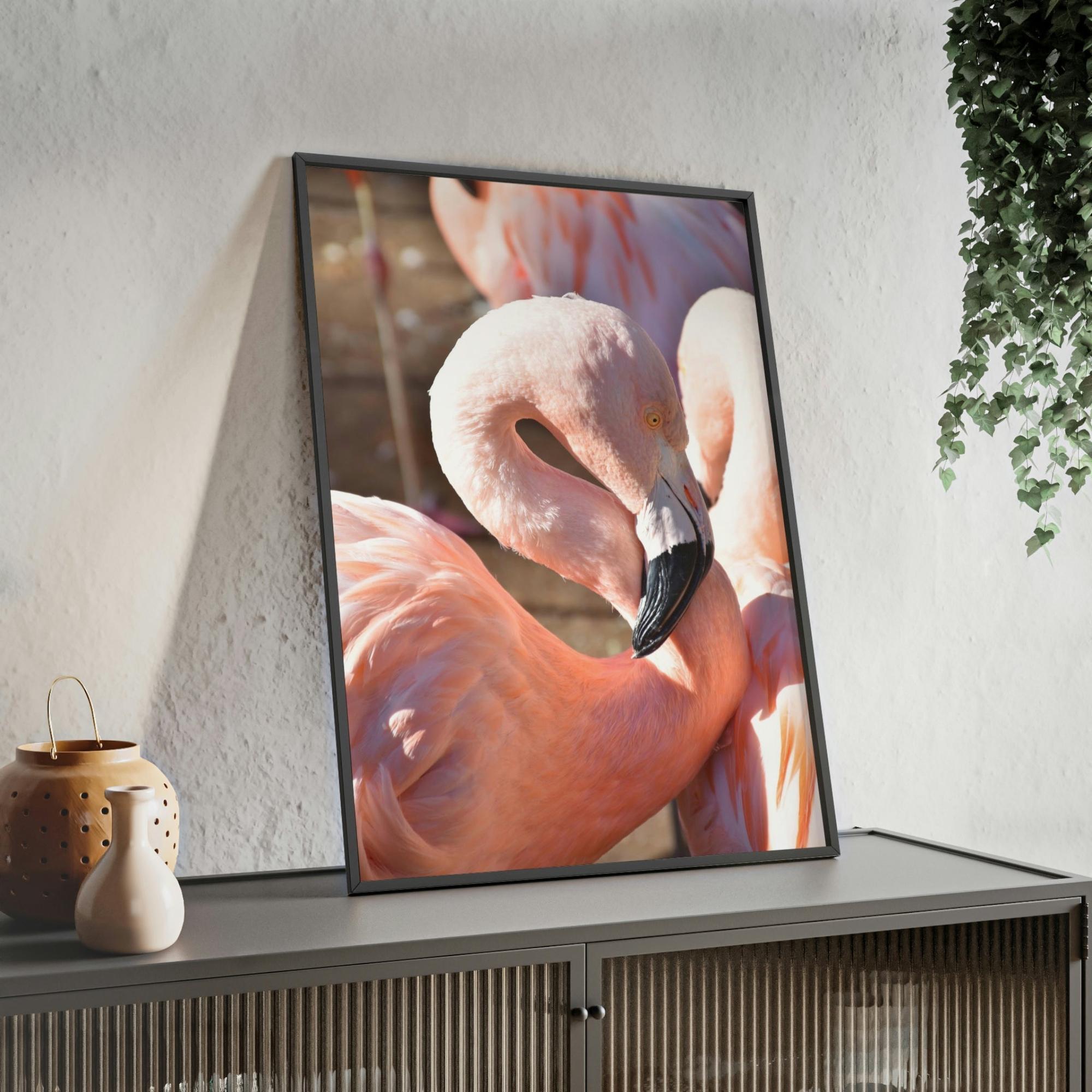 Flamingos Flamingo Reflections: A Canvas of Stillness and Serenity