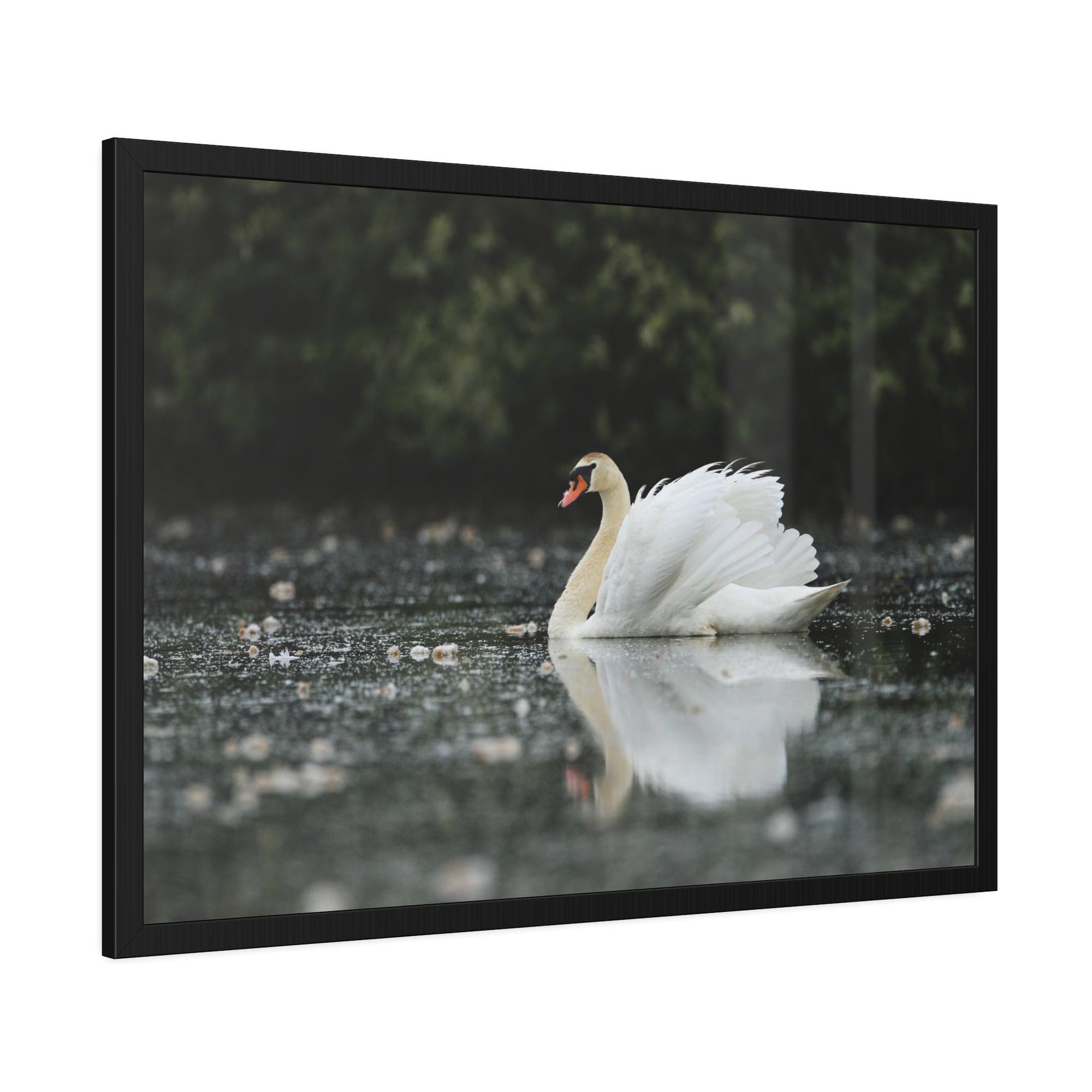 Swans Swan Lake Dreams: Natural Canvas Print of Beautiful Swan in a Dreamy Landscape