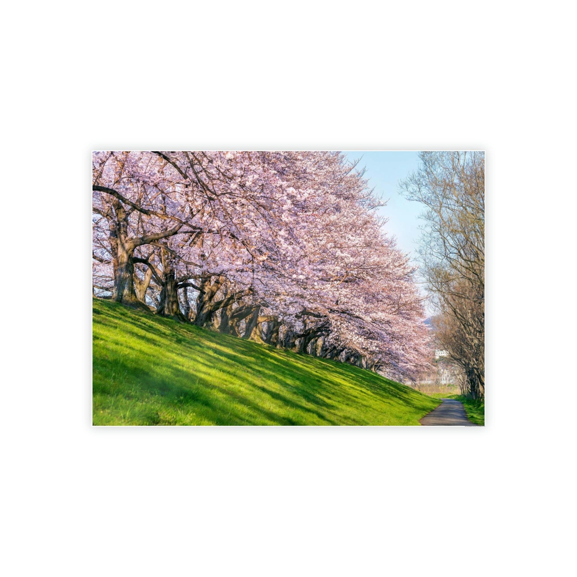 Cherry Trees Enchanted Forest: Cherry Trees on Canvas & Poster