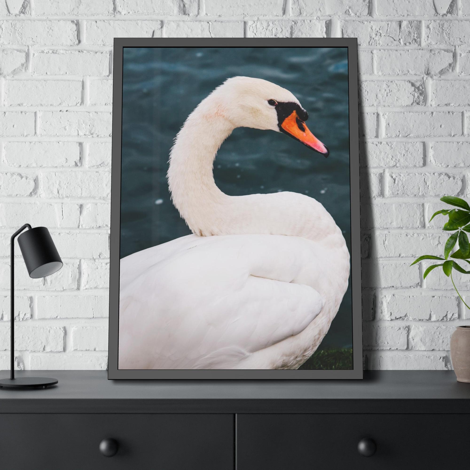 Swans The Calm of Nature: Natural Canvas Print of Swan in a Serene Landscape