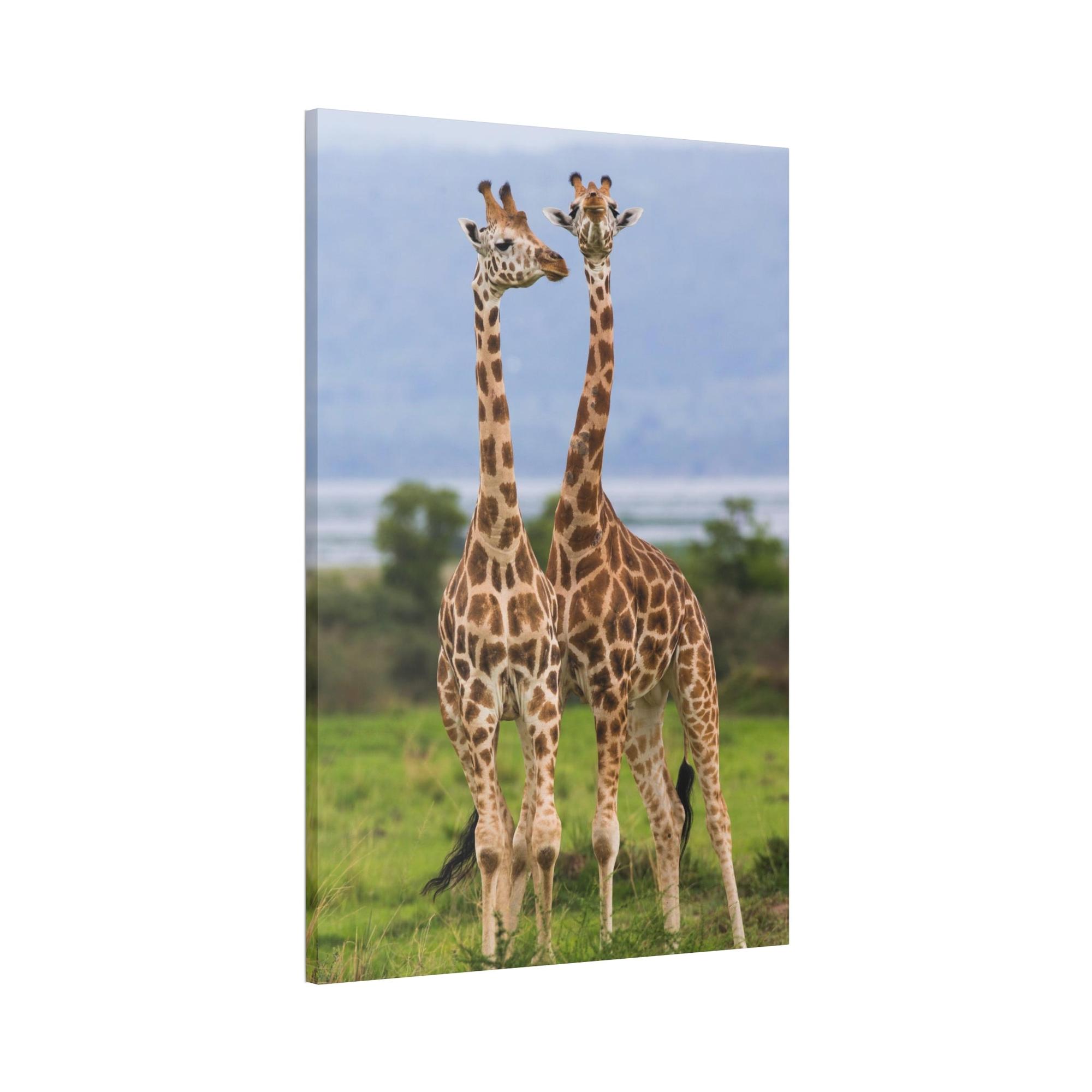 Giraffes Giraffed in Motion: A Stunning Artistic Interpretation on Canvas & Poster
