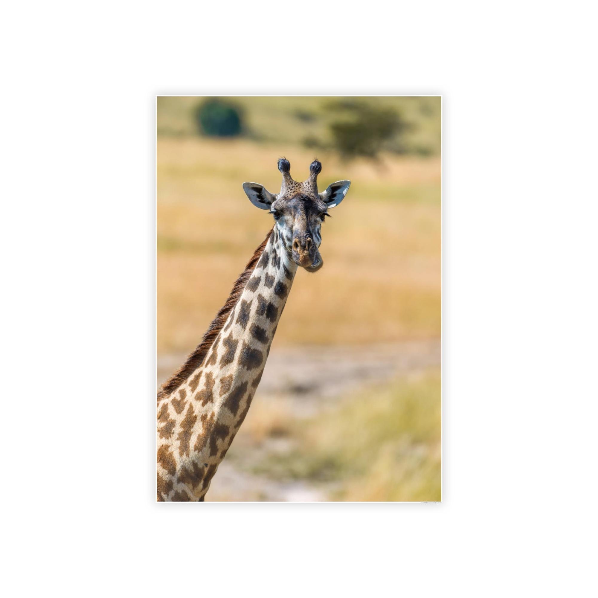Giraffes Wild and Free: Canvas Wall Art Featuring a Giraffe in the African Plains