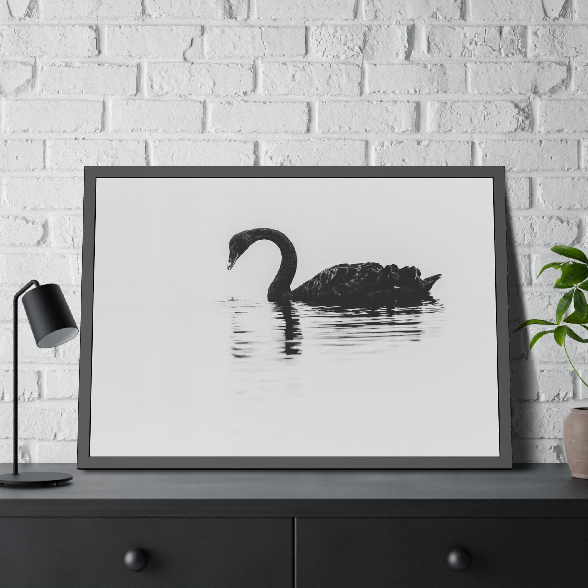 Swans The Swan Princess: Natural Canvas Print of a Beautiful Swan