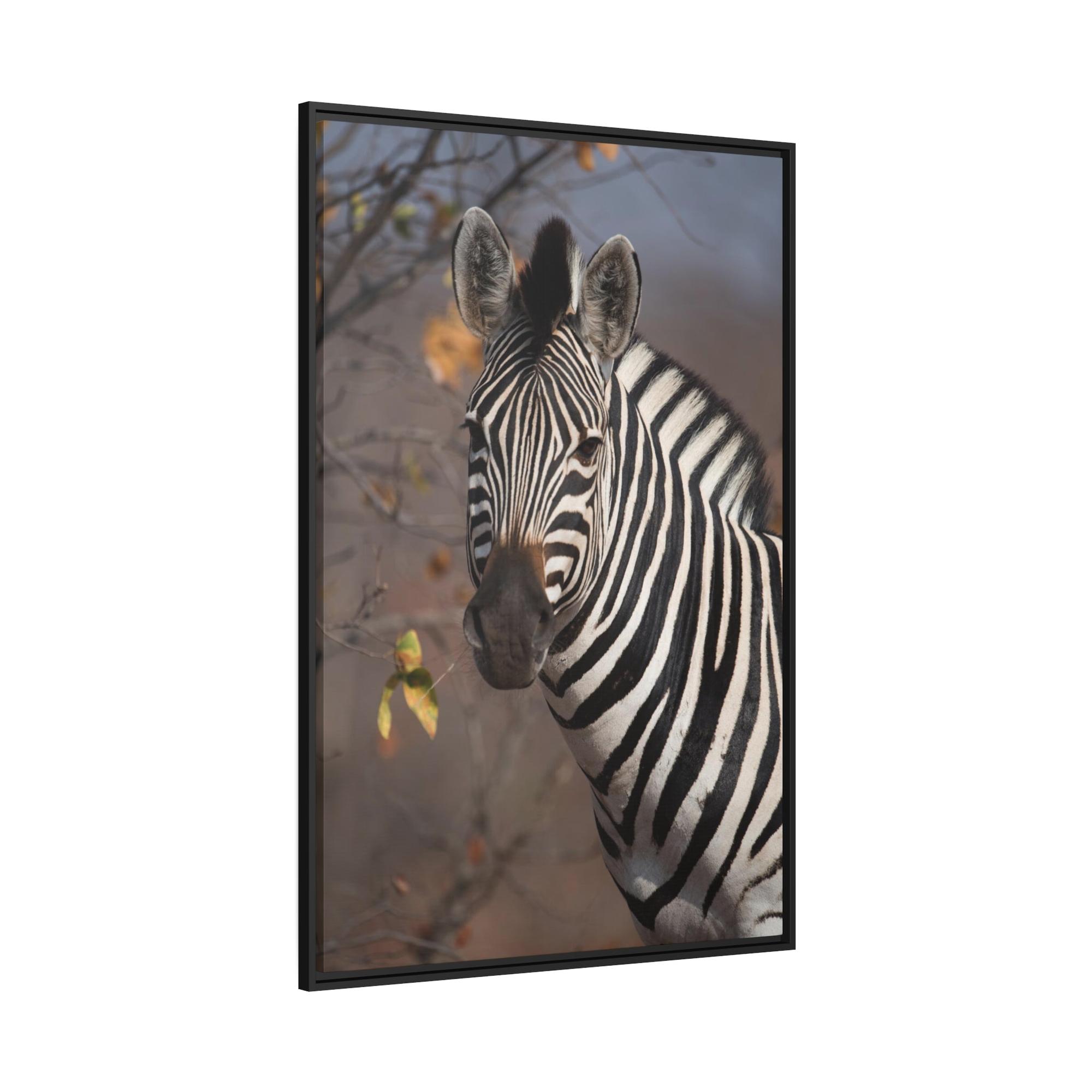 Zebras Zebra Stripes on the Horizon: Canvas Art Displaying a Beautiful Zebra in the Wild