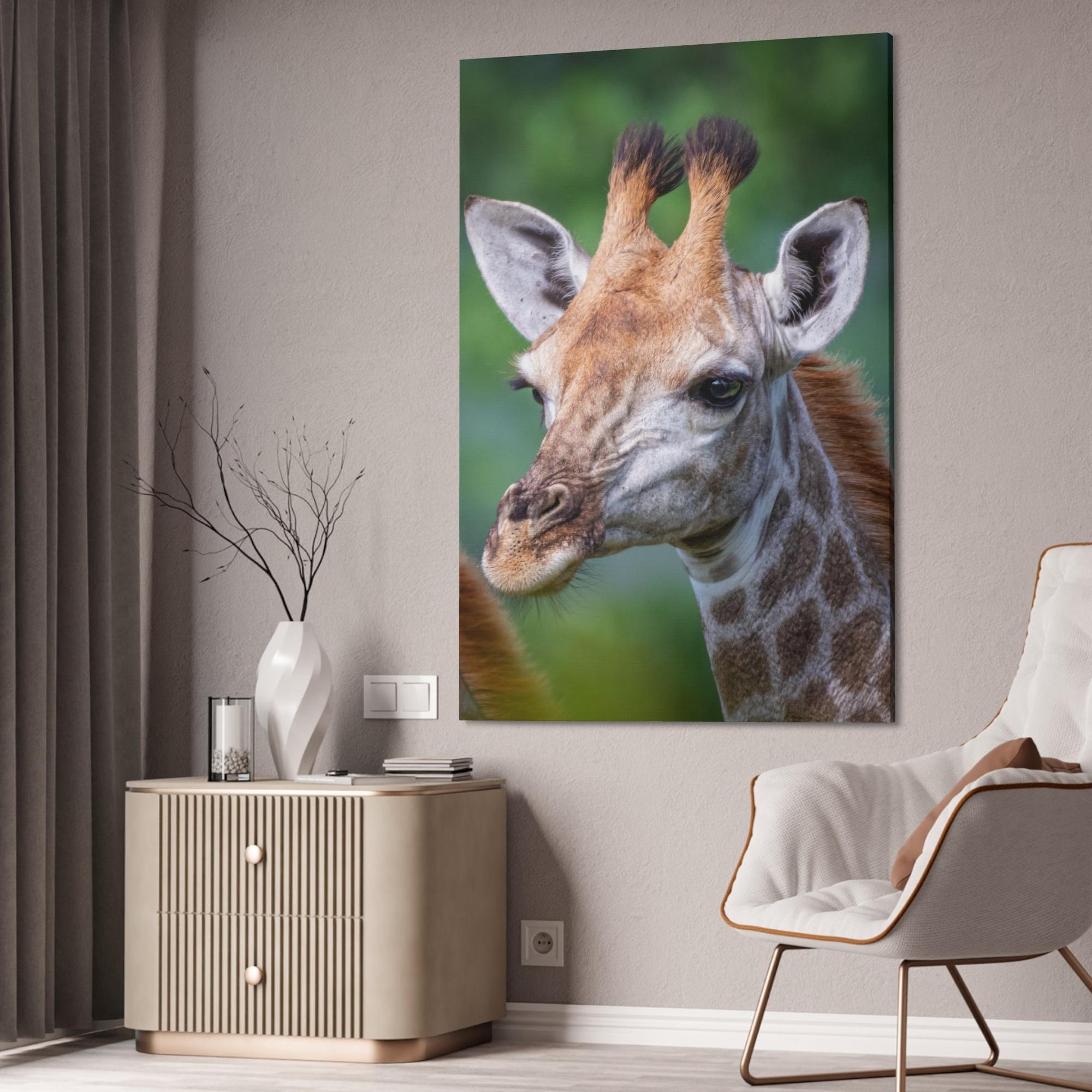 Giraffes Regal Beauty: A High-Quality Canvas Print of a Giraffe's Elegance