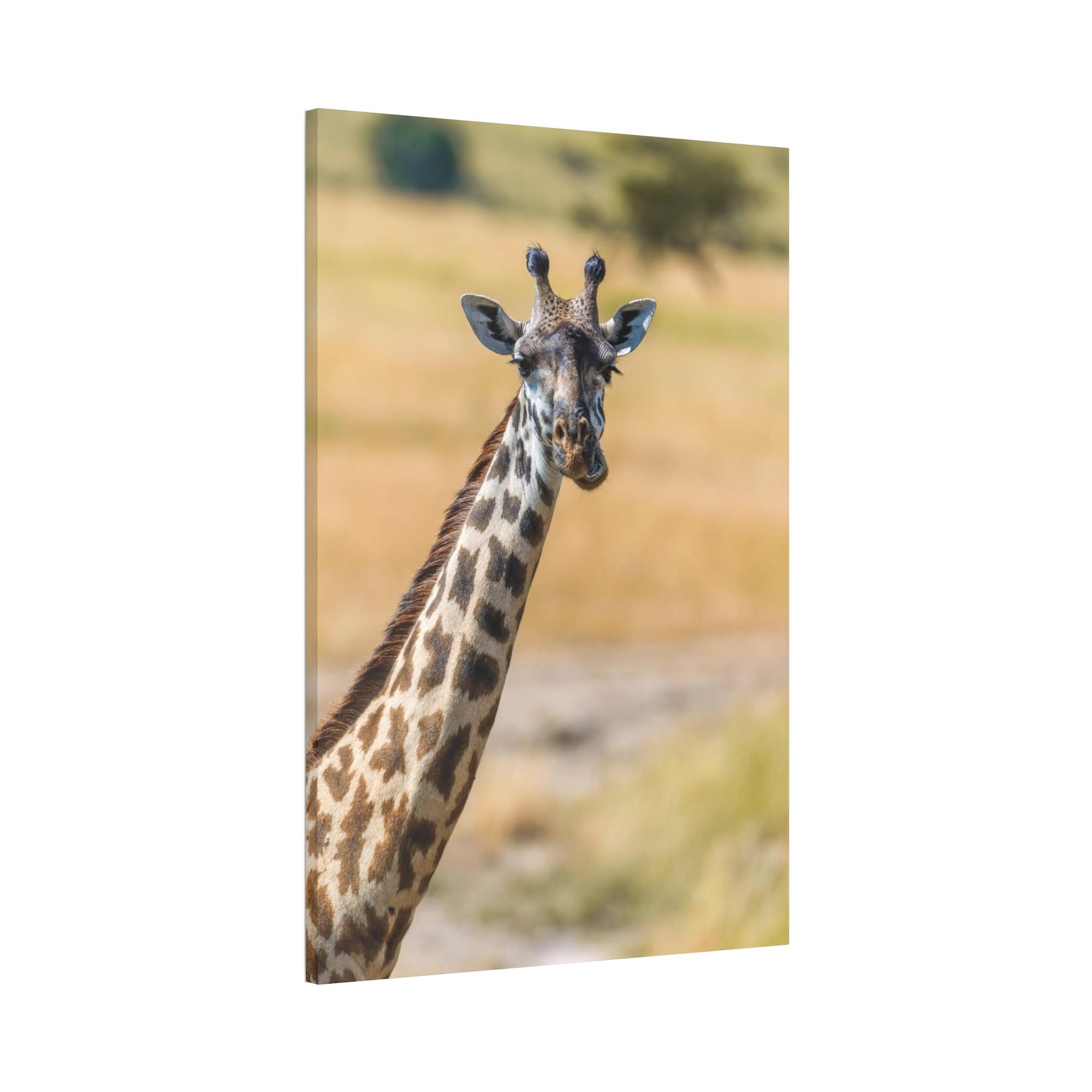 Giraffes Wild and Free: Canvas Wall Art Featuring a Giraffe in the African Plains