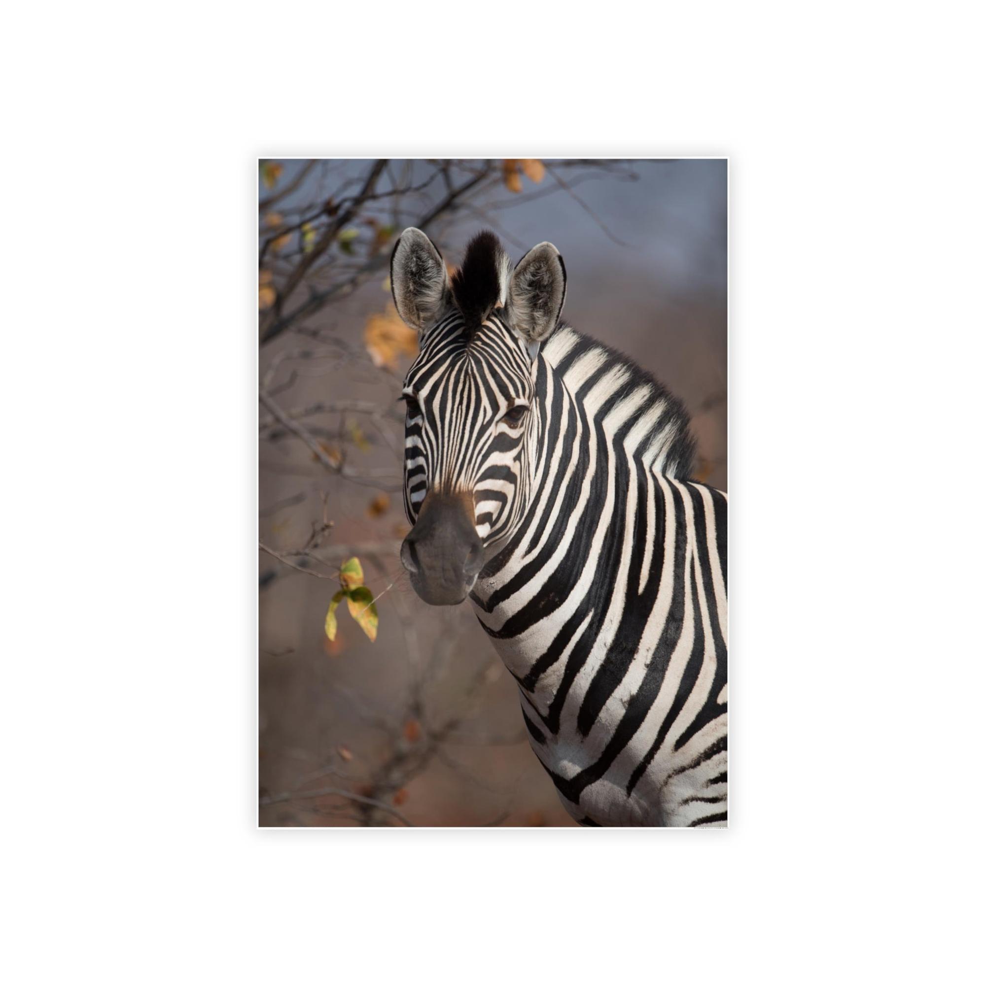 Zebras Zebra Stripes on the Horizon: Canvas Art Displaying a Beautiful Zebra in the Wild