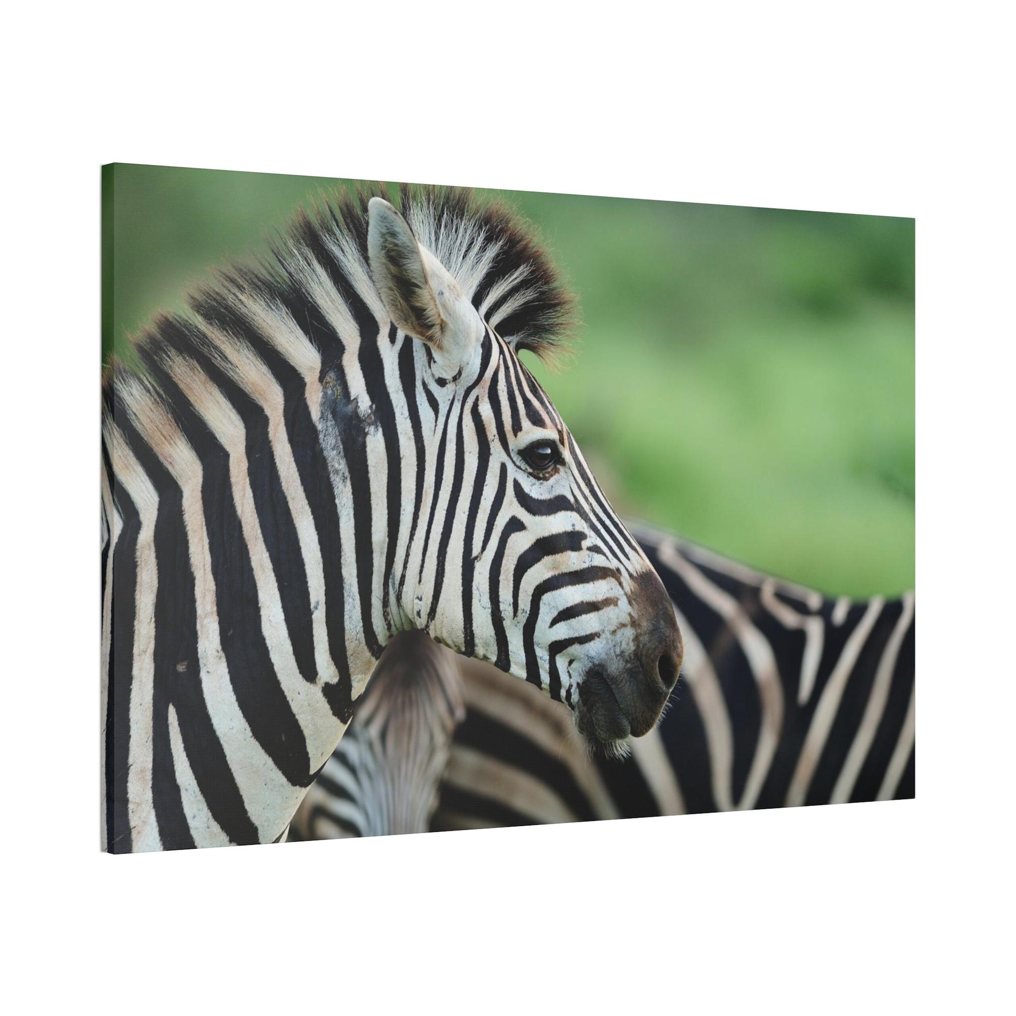 undefined In the Wild: Zebra Canvas & Poster Print for a Natural Look