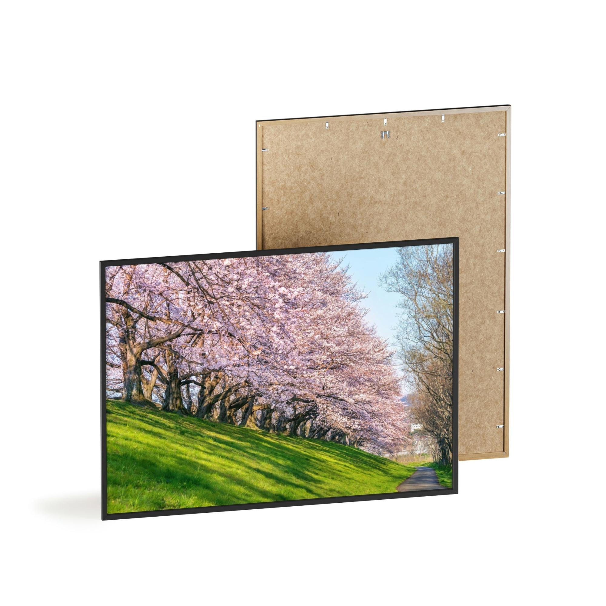 Cherry Trees Enchanted Forest: Cherry Trees on Canvas & Poster