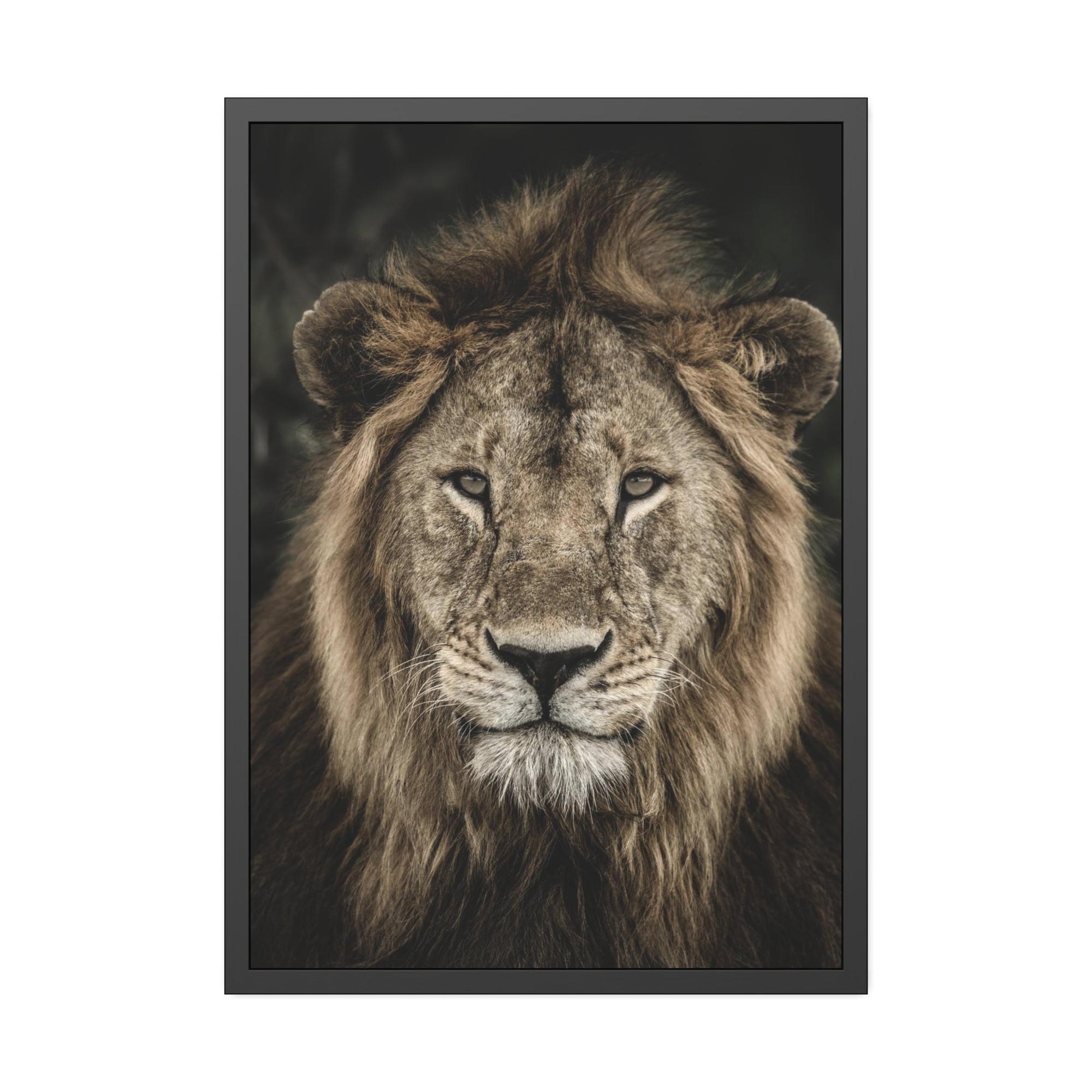 Lions Lion's Strength: Canvas Print of the Fierce Predator in Action