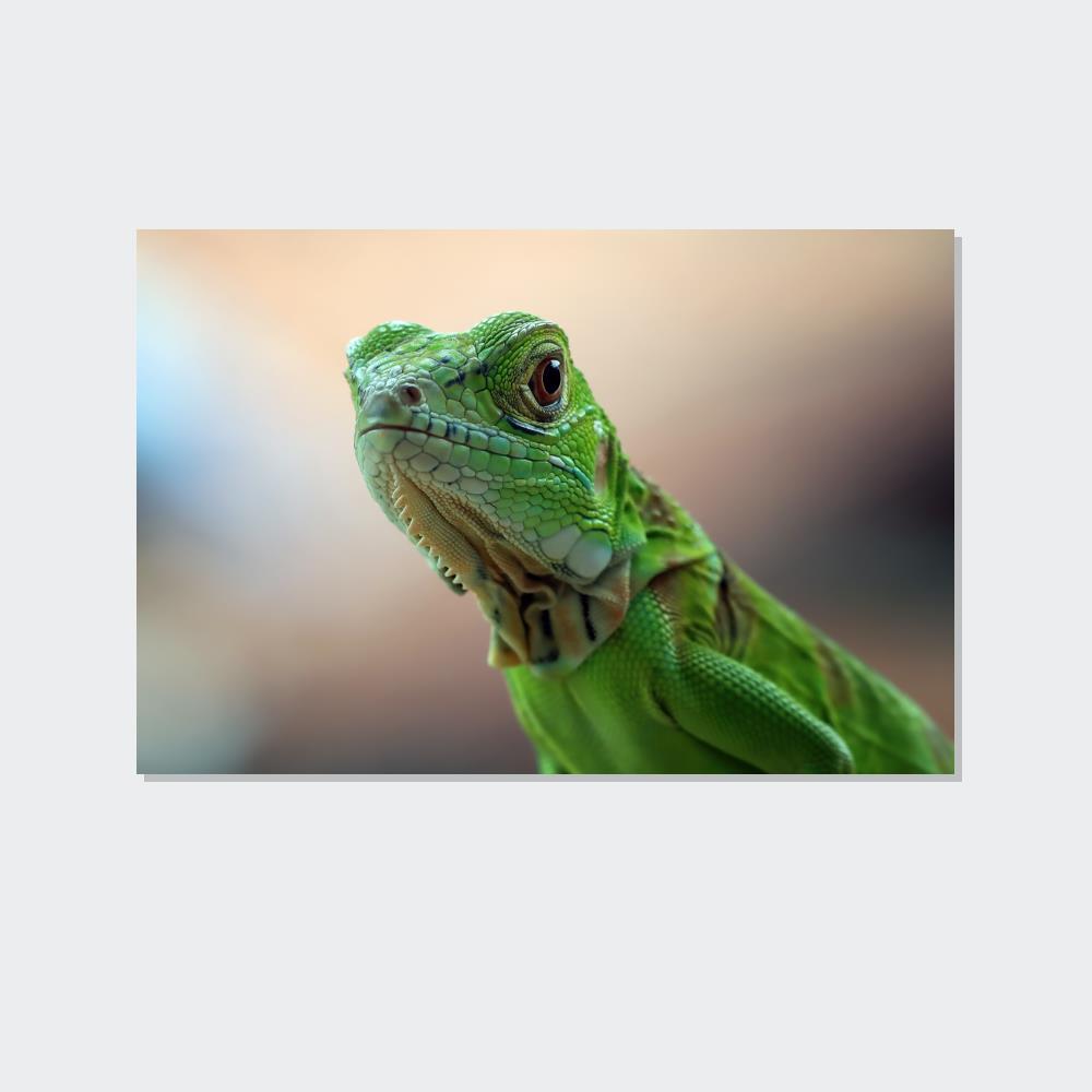 Lizards Scaly Beauty: Captivating Lizard Art on Natural Canvas