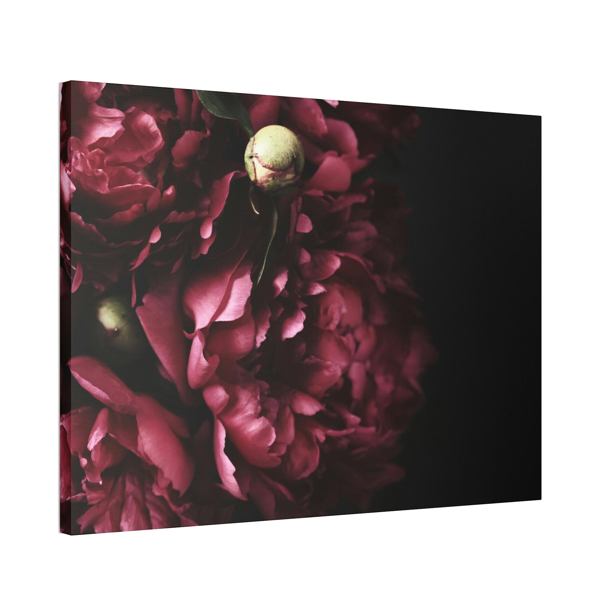 Peonies Petals and Promises: Peonies in Love