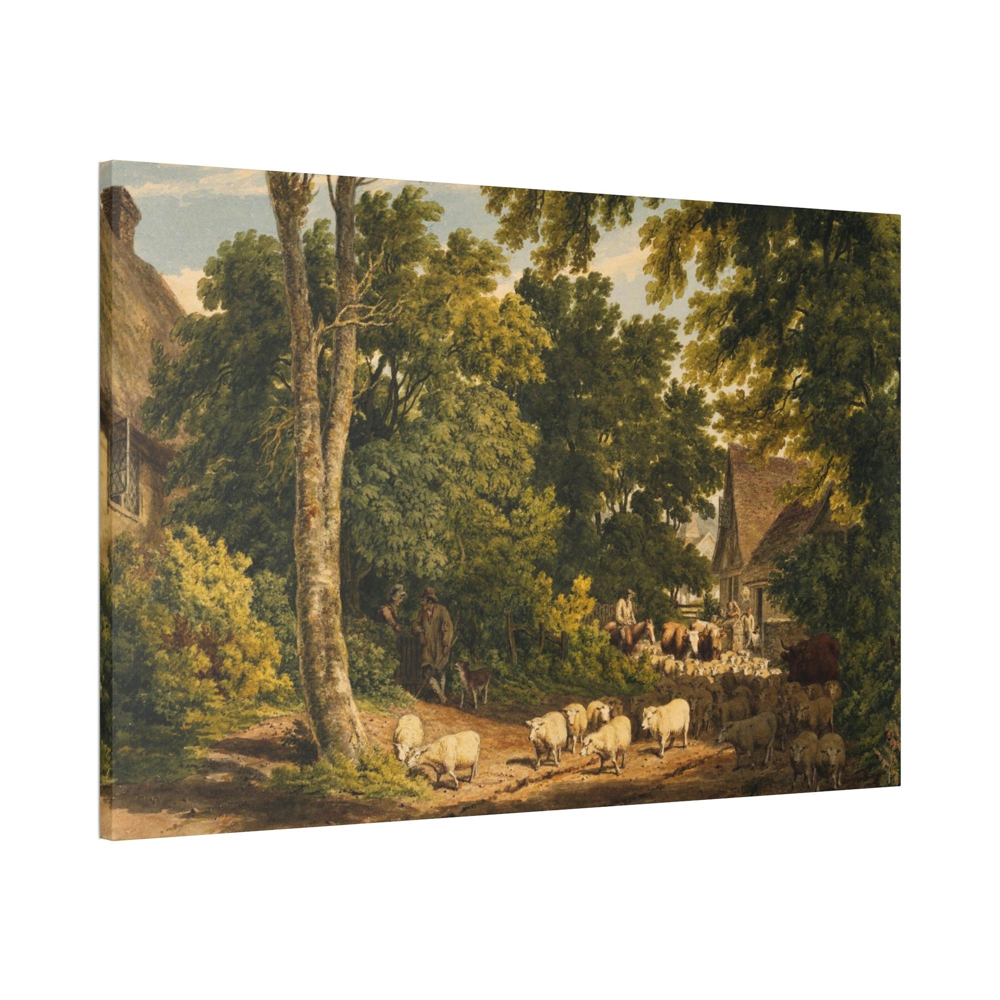 Anthropologie Anthropologie: A Study of Animal Behavior in the Natural World