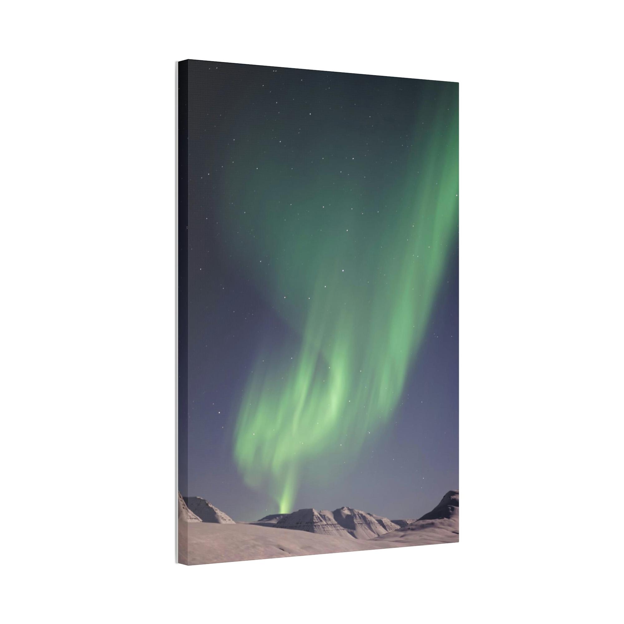 Aurora Borealis The Northern Lights: A Majestic Display of Celestial Fireworks