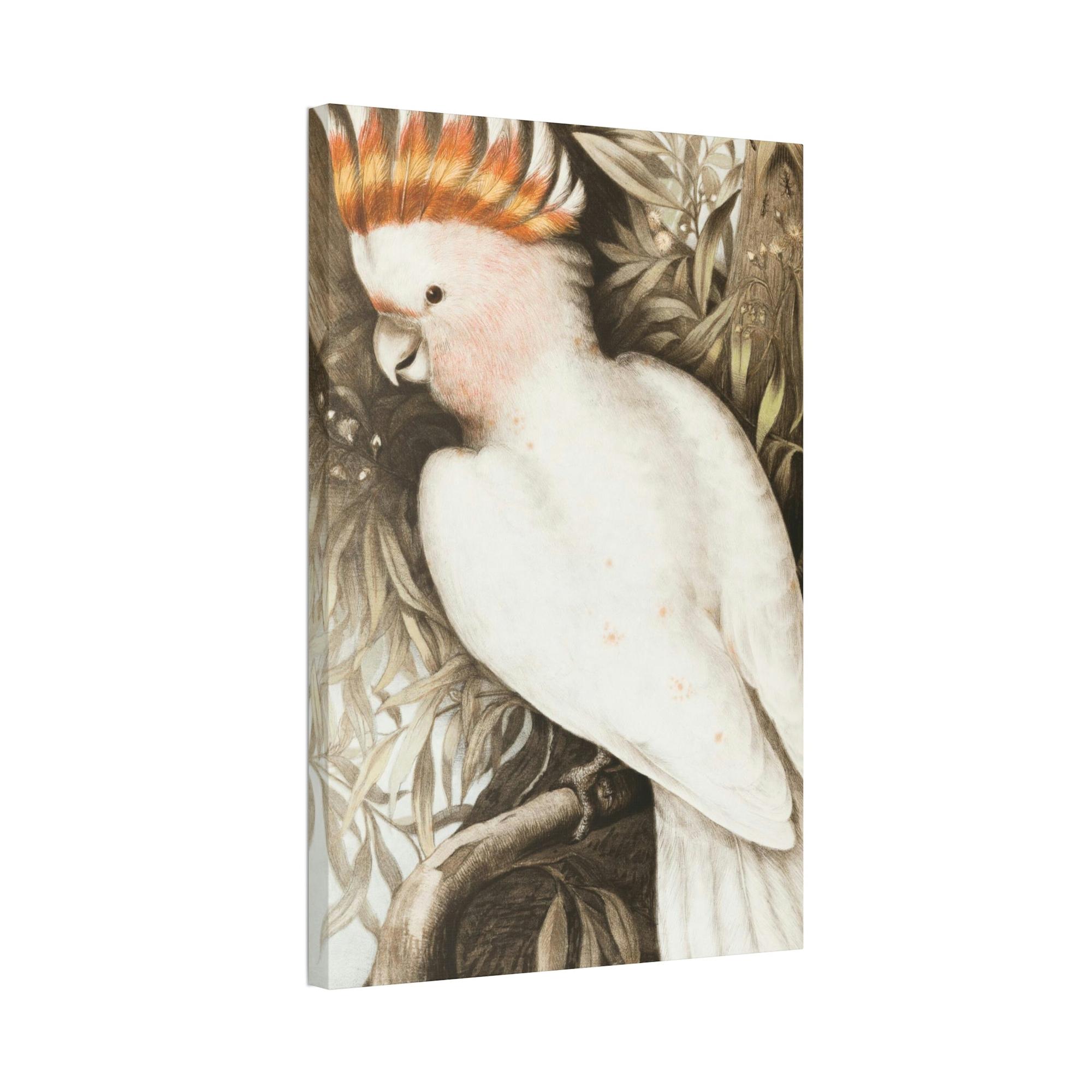 Anthropologie Anthropological Depths: The Nature of Water