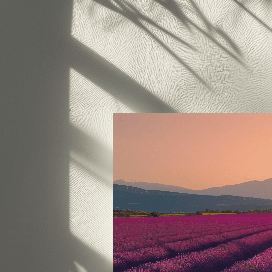 Lamborghini Lamborghini in Lavender Field Canvas