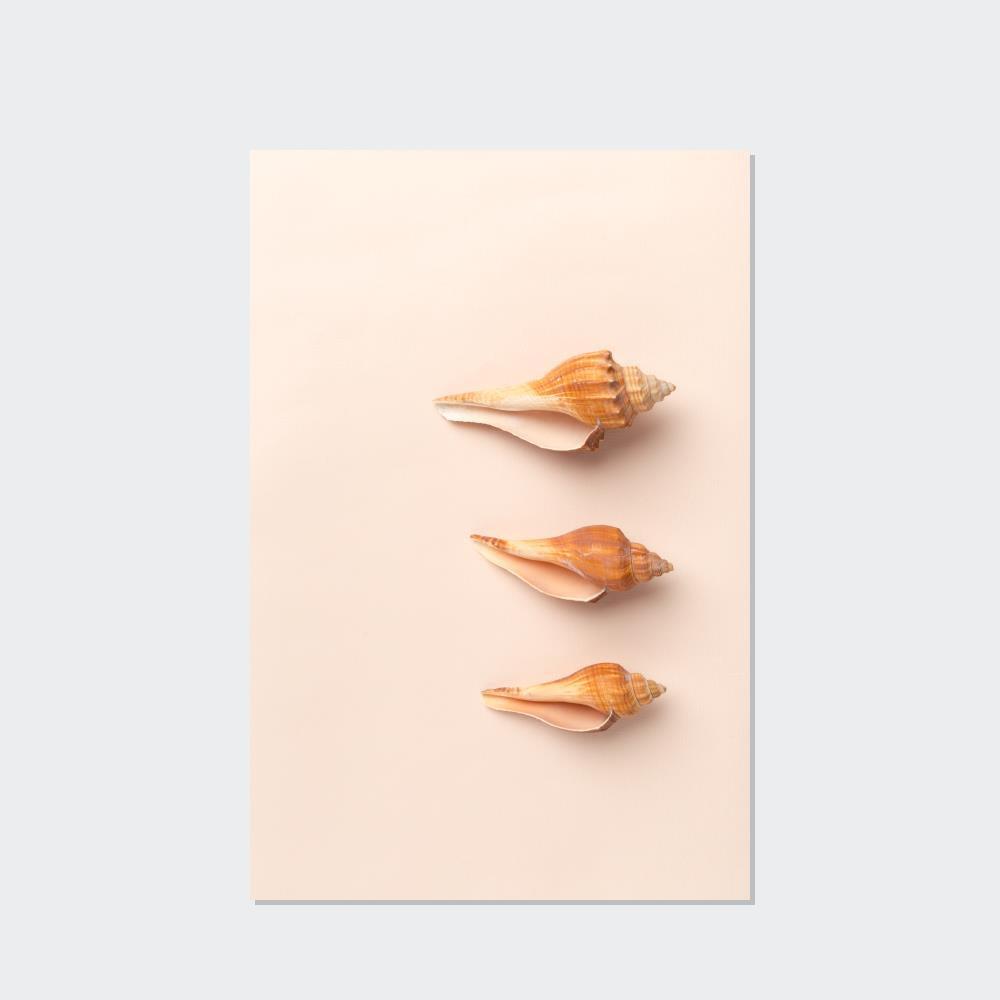 Shells Shimmering Shells: Striking Shell Art on Natural Canvas & Poster