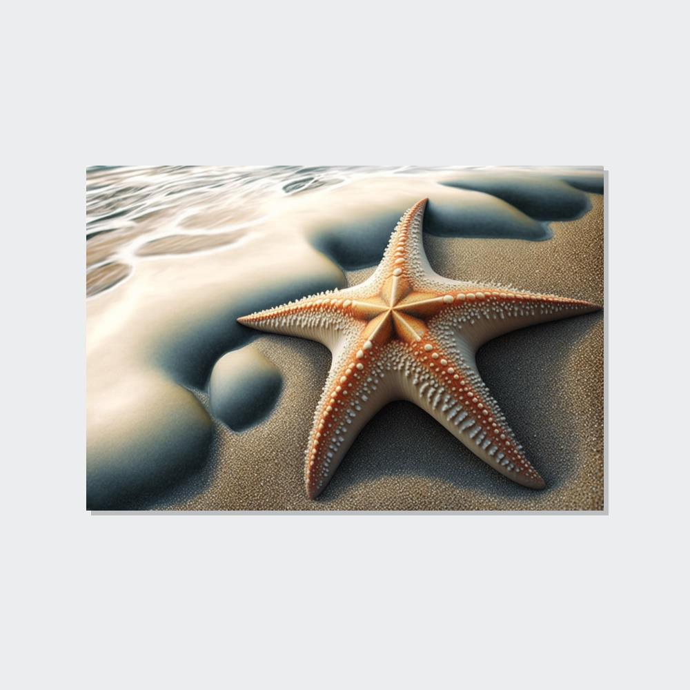 Starfishs Coral Kingdom: Starfish Edition