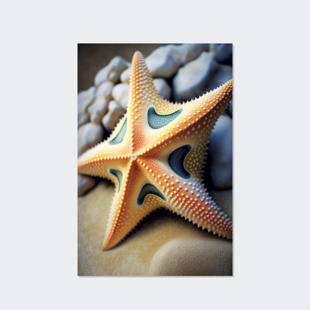 undefined Echoes of the Ocean: Starfish Symphony