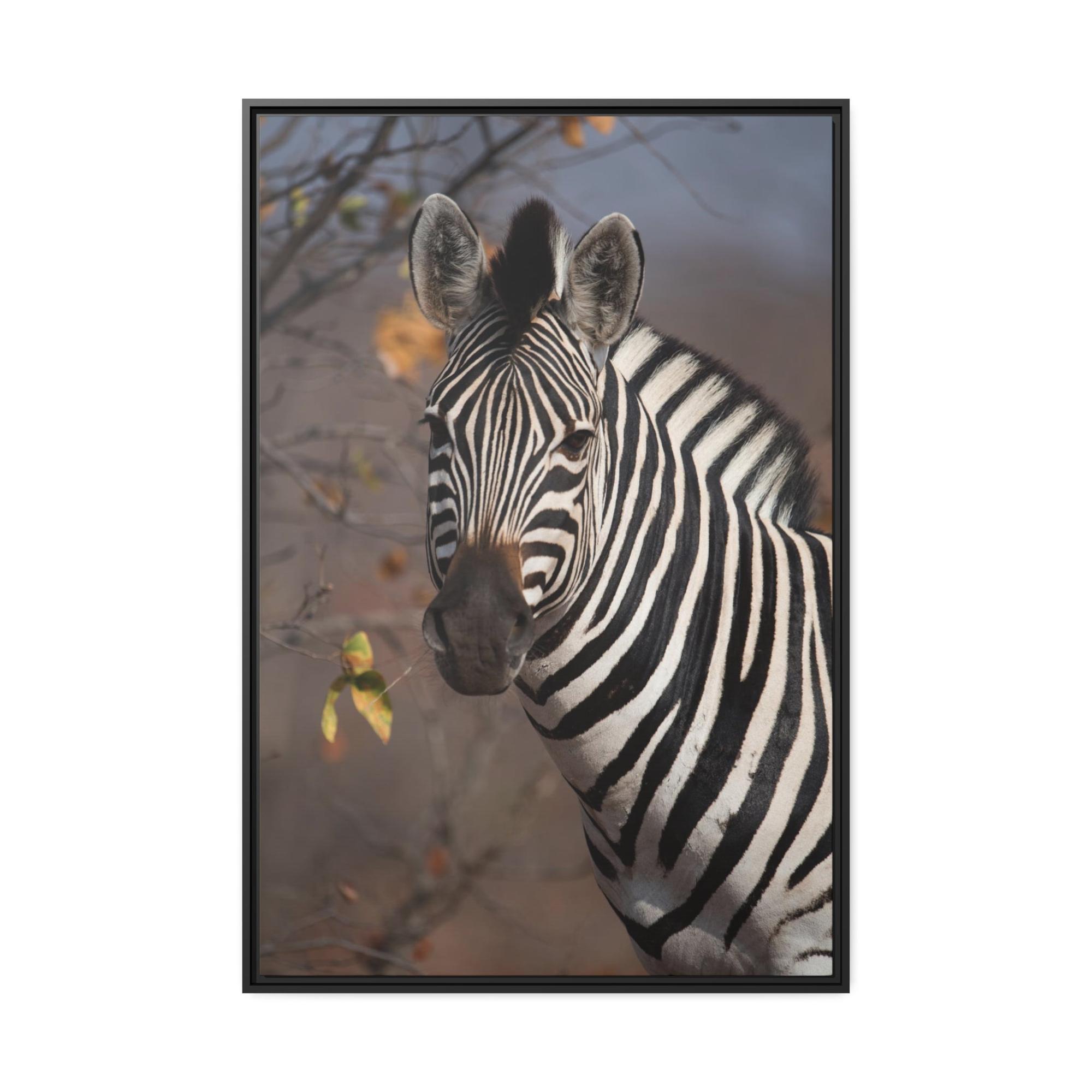 undefined Zebra Stripes on the Horizon: Canvas Art Displaying a Beautiful Zebra in the Wild