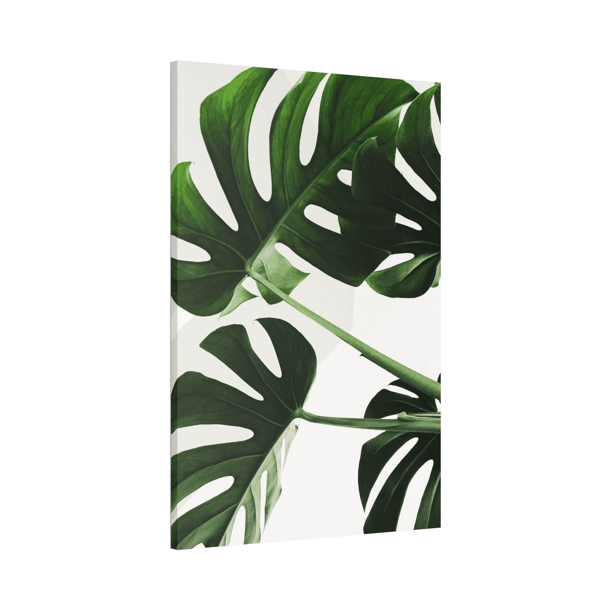 Abstract Minimalist Framed Minimalism: Natural Canvas Art for a Chic Wall Decor