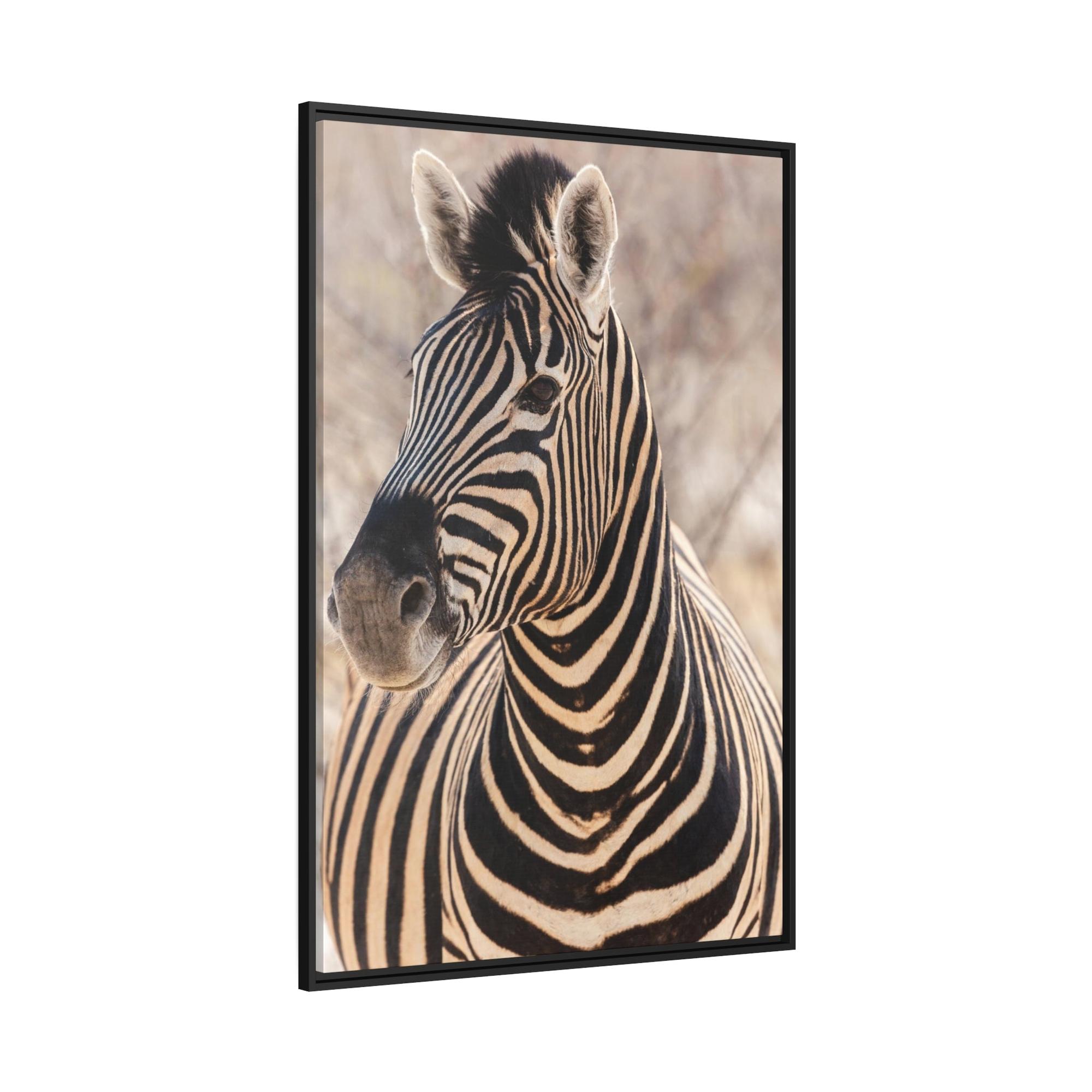 Zebras Zebras in the Wild: Stunning Print on Framed Canvas