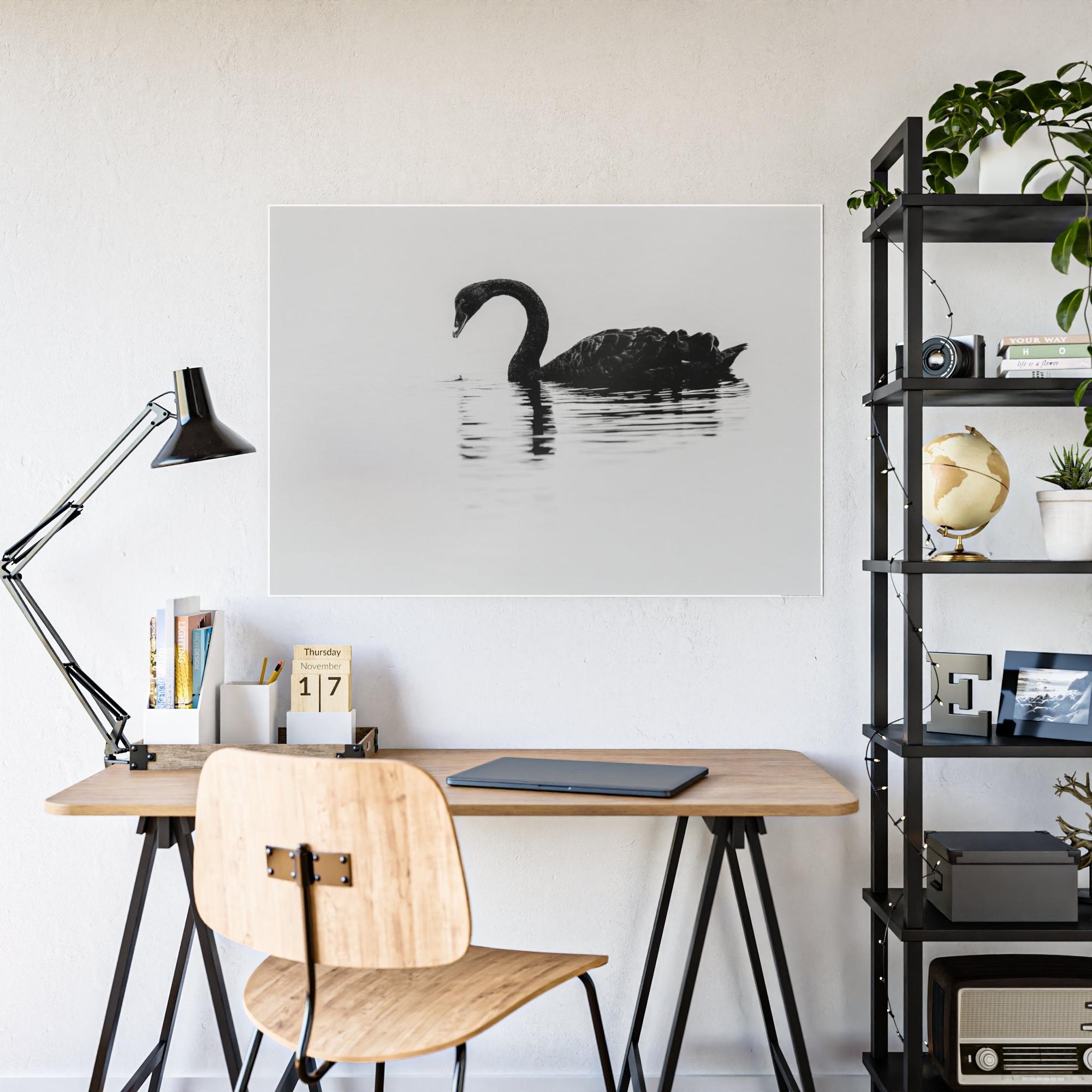 Swans The Swan Princess: Natural Canvas Print of a Beautiful Swan