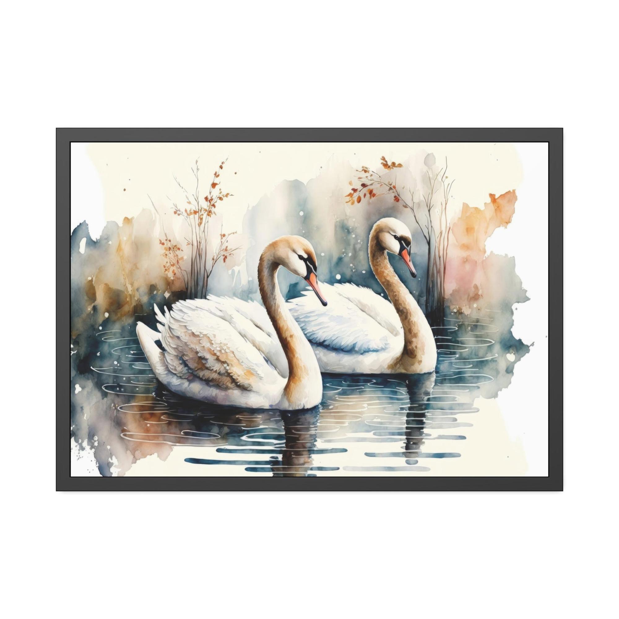 Swans Gentle Giants: Framed Poster and Print on Canvas Featuring Majestic Swans