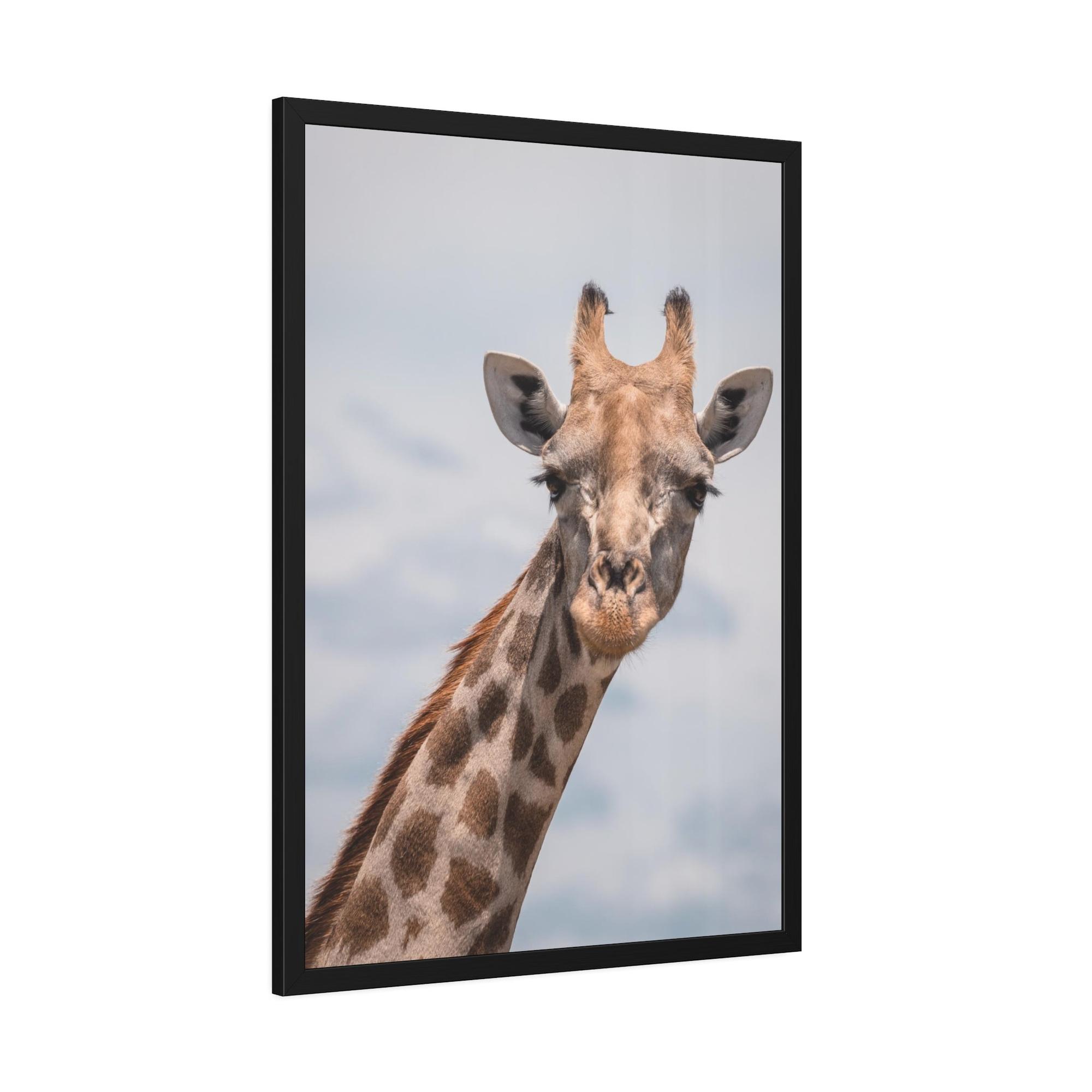 Giraffes Captivating Creature: A Stunning Giraffe on Canvas & Poster