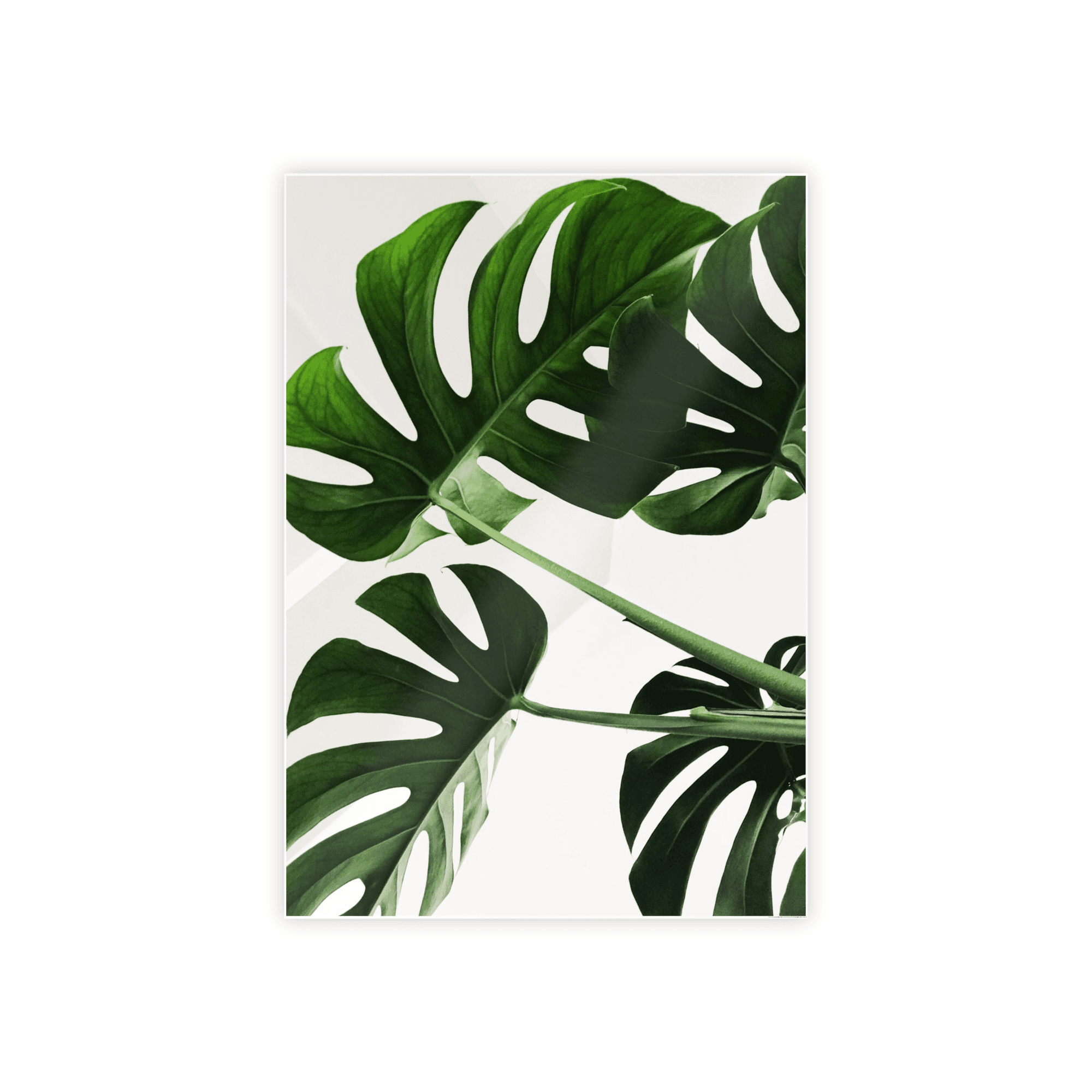 Abstract Minimalist Framed Minimalism: Natural Canvas Art for a Chic Wall Decor