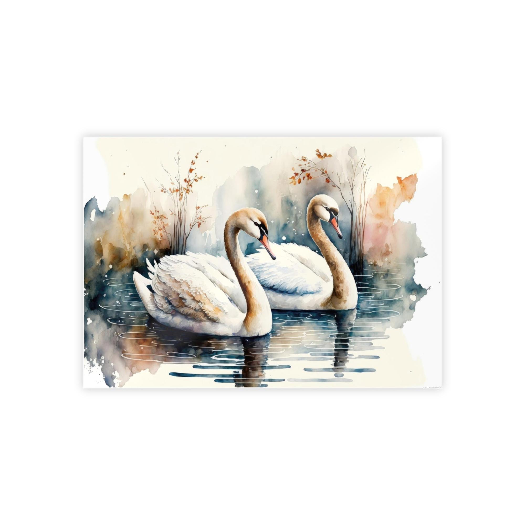 Swans Gentle Giants: Framed Poster and Print on Canvas Featuring Majestic Swans